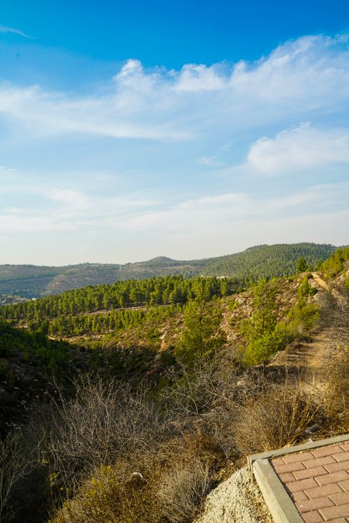 Free View of a lush green mountain landscape under a bright blue sky. Stock Photo