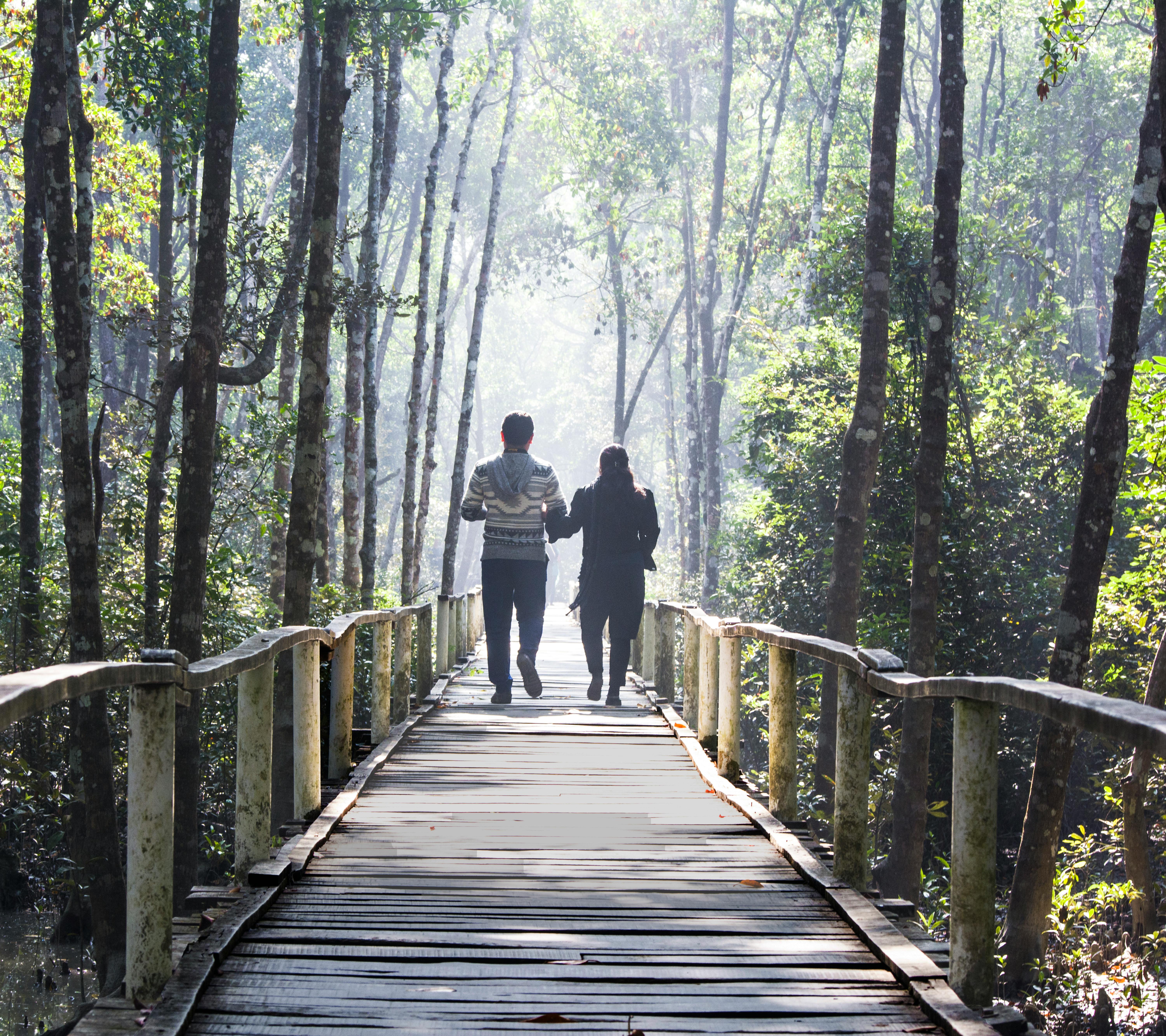 general lifestyle questionnaire pdf — Photo by Mushfiqur Rahman on Pexels