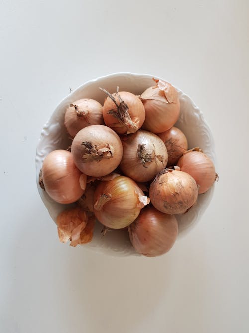 Free stock photo of onion
