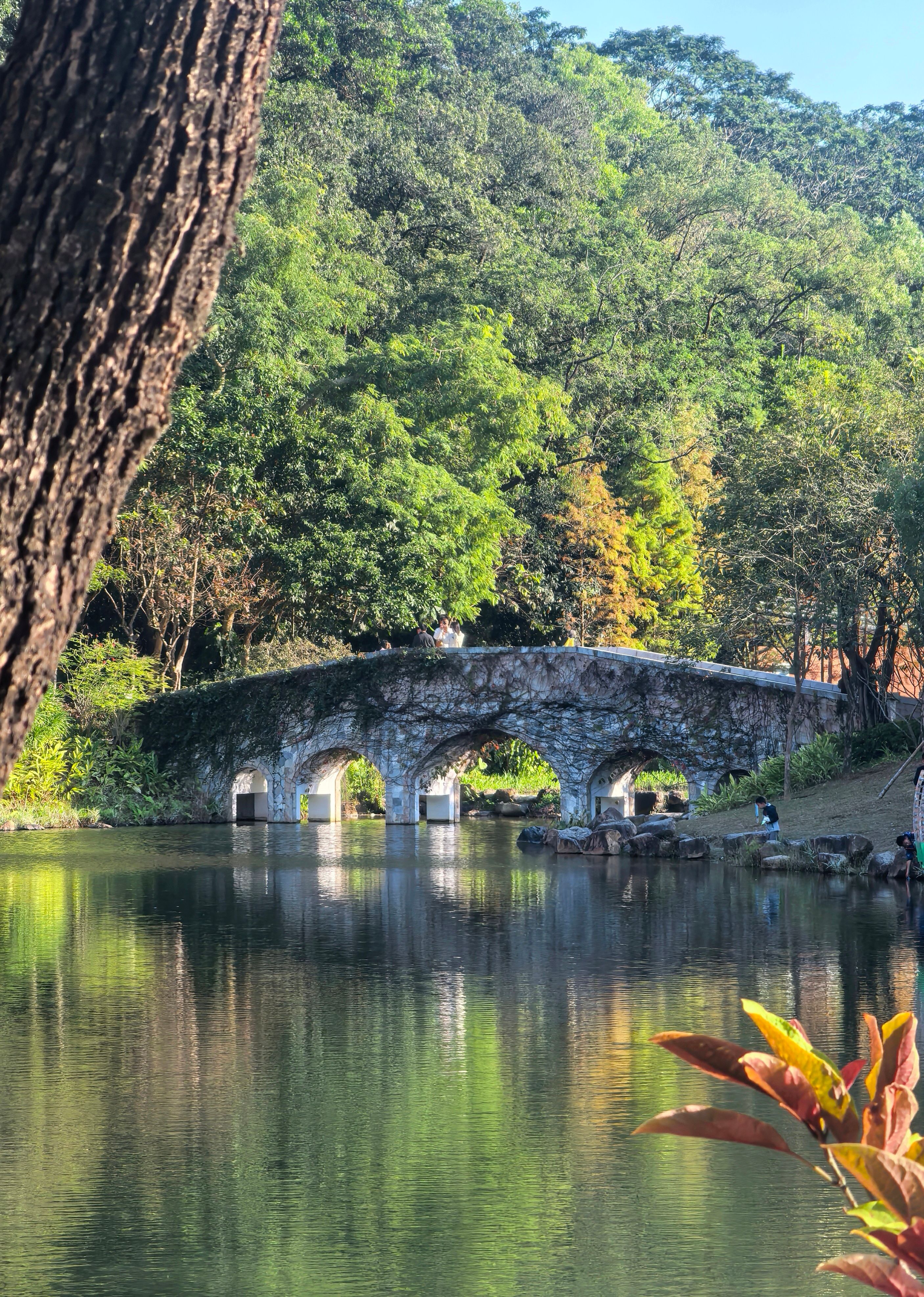 Idyllic Stone Bridge Over Scenic Tranquil River · Free Stock Photo
