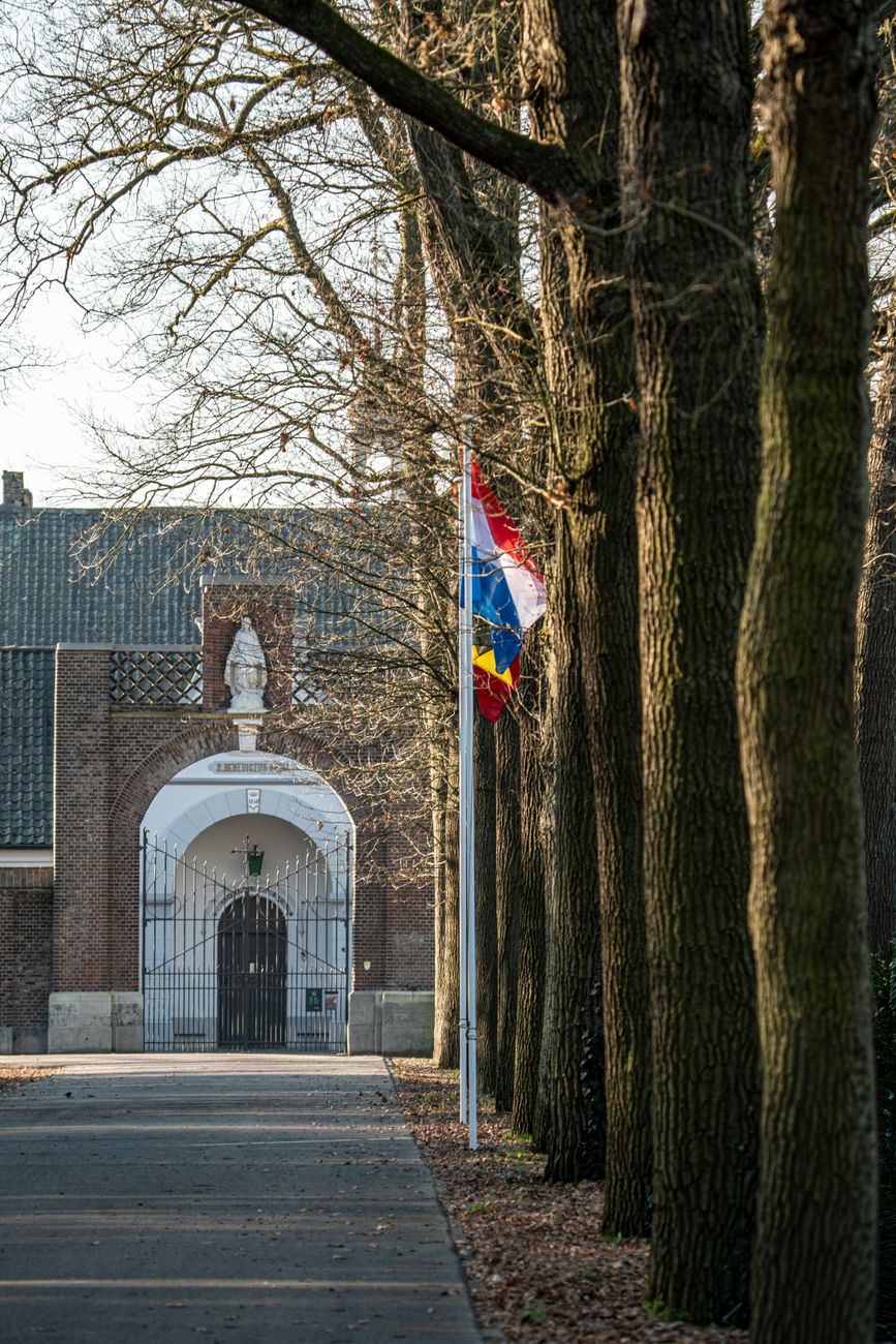Prachtige architectonische entree met vlag en bomen, vastgelegd bij helder daglicht.
