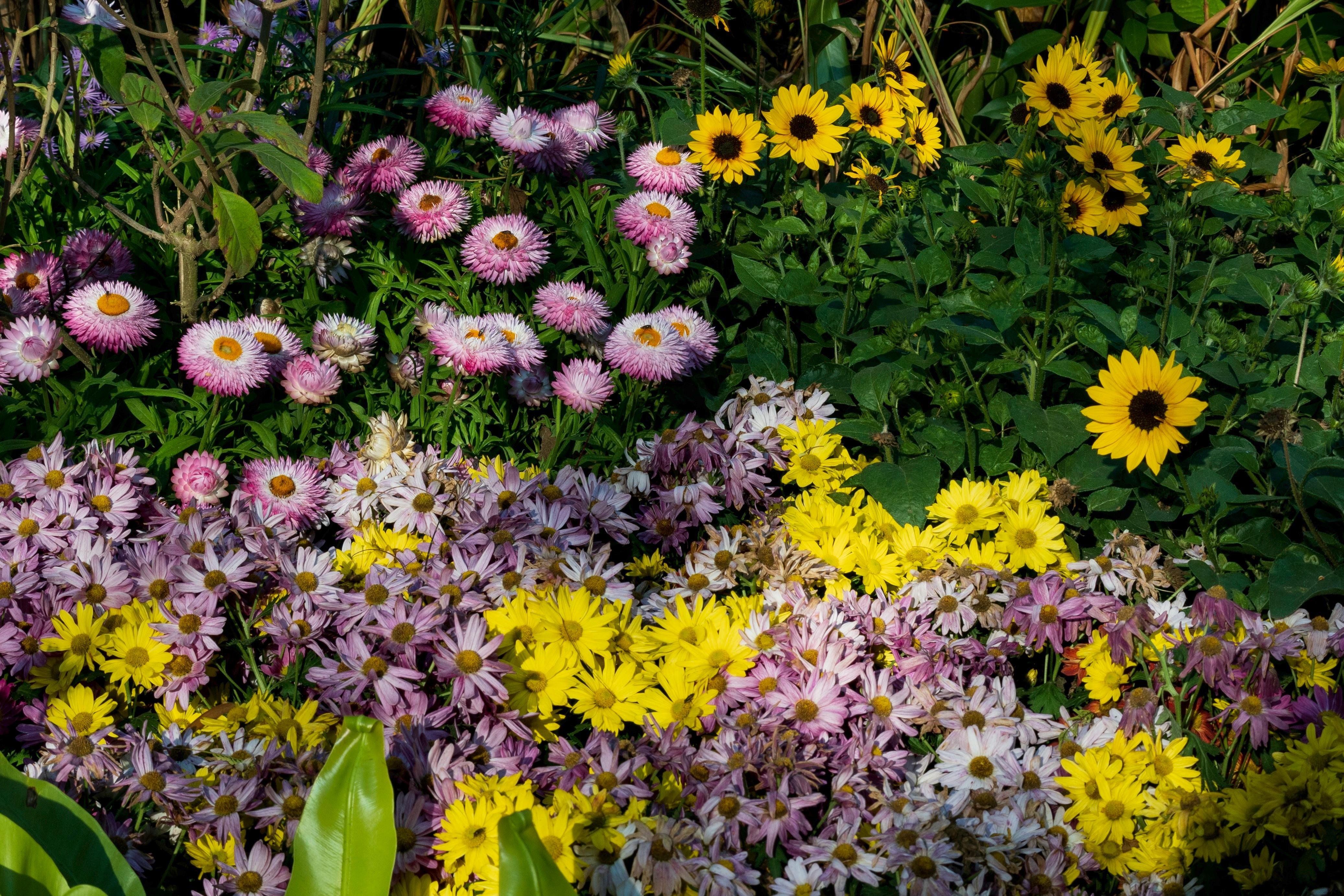 Gardening Secrets For A Lush Garden