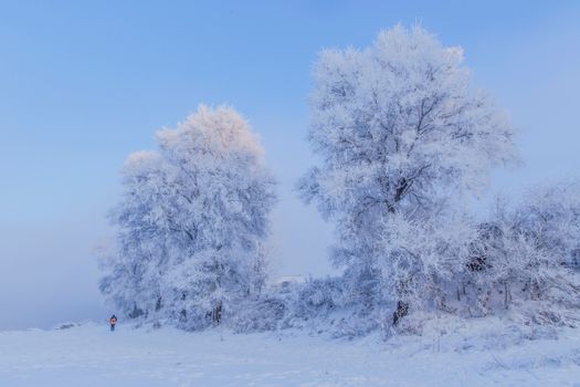 A serene snowy landscape with frost-covered trees in Jilin Province, China.