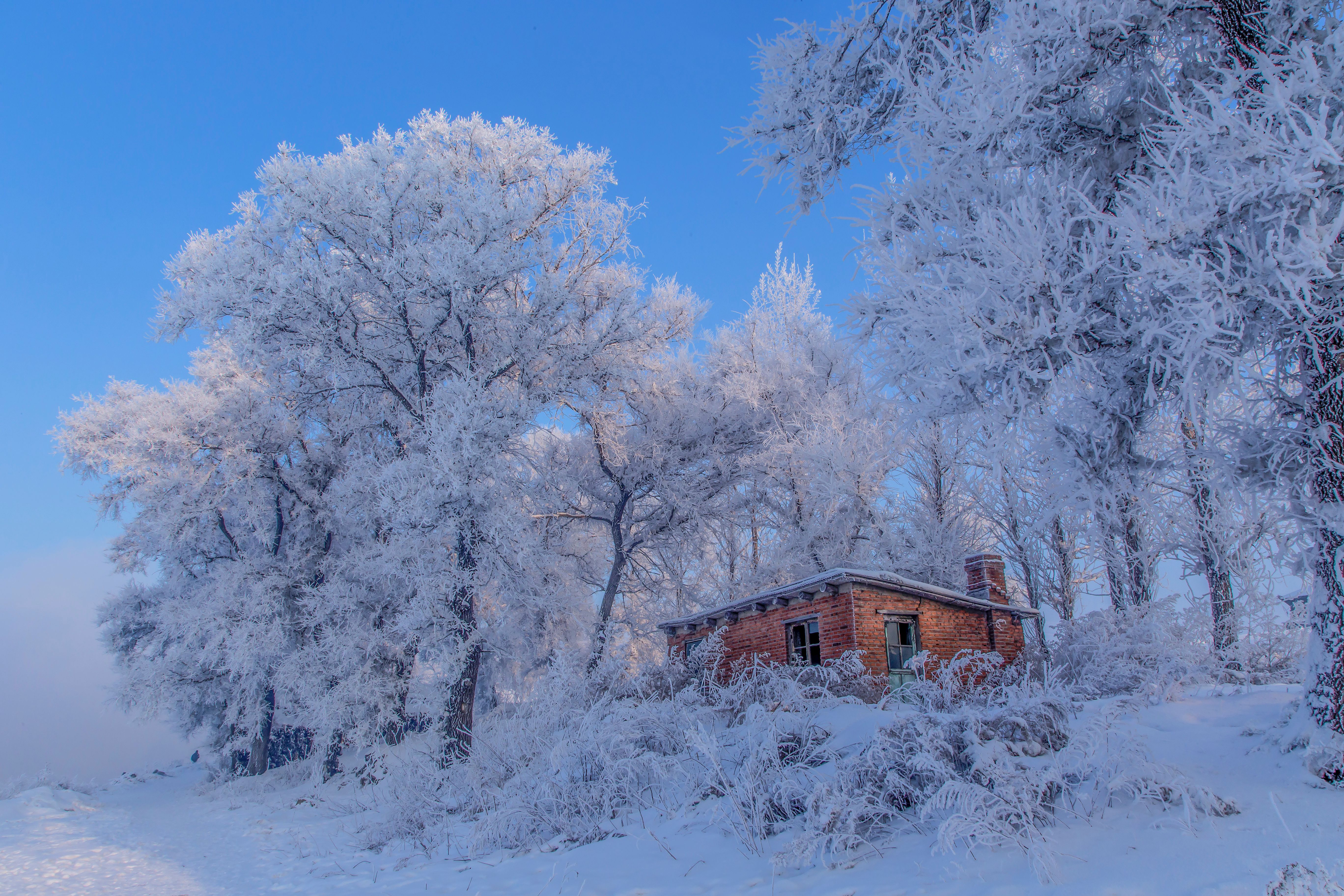 January Landscape Photos, Download The BEST Free January Landscape ...
