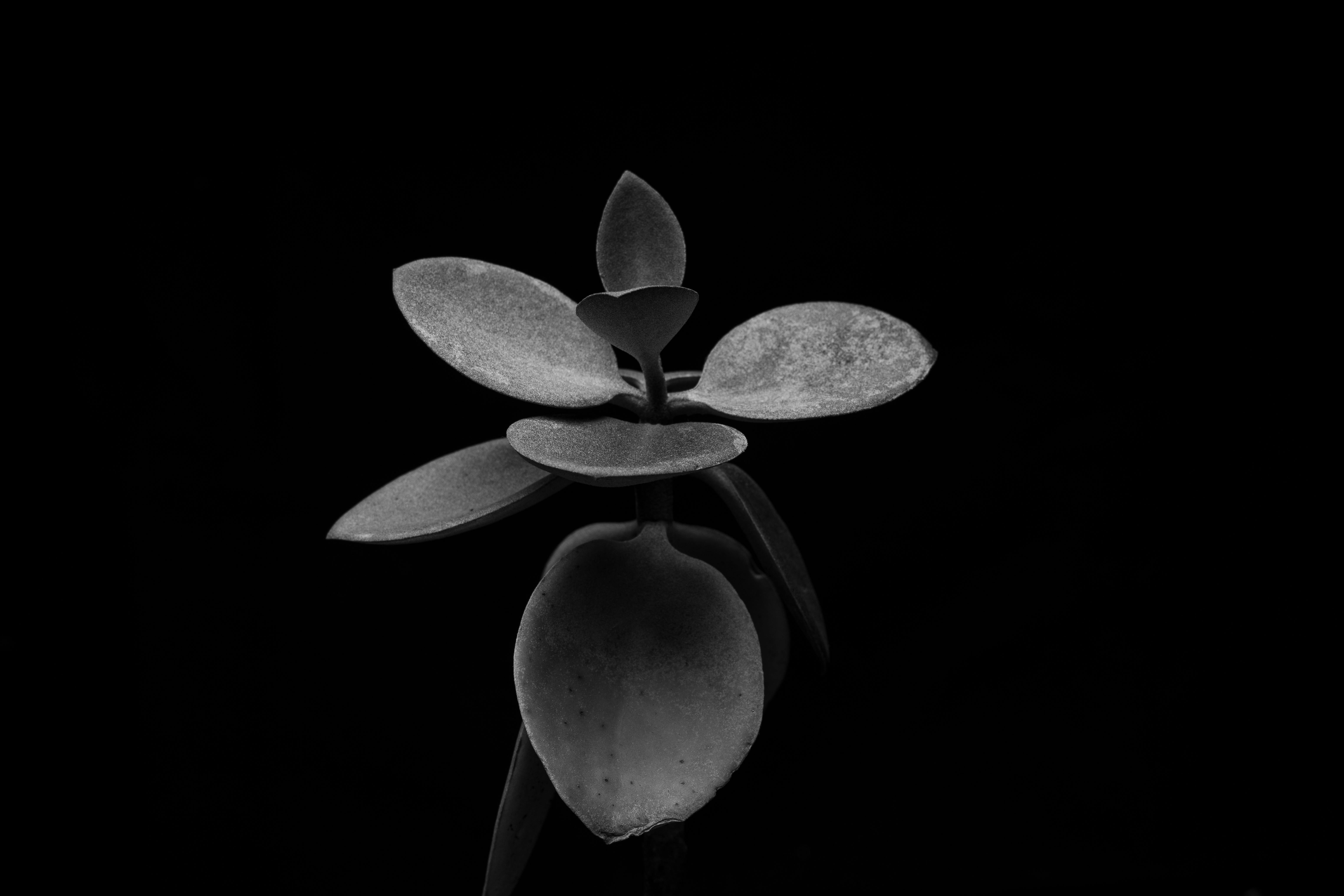 Effective Modern C++