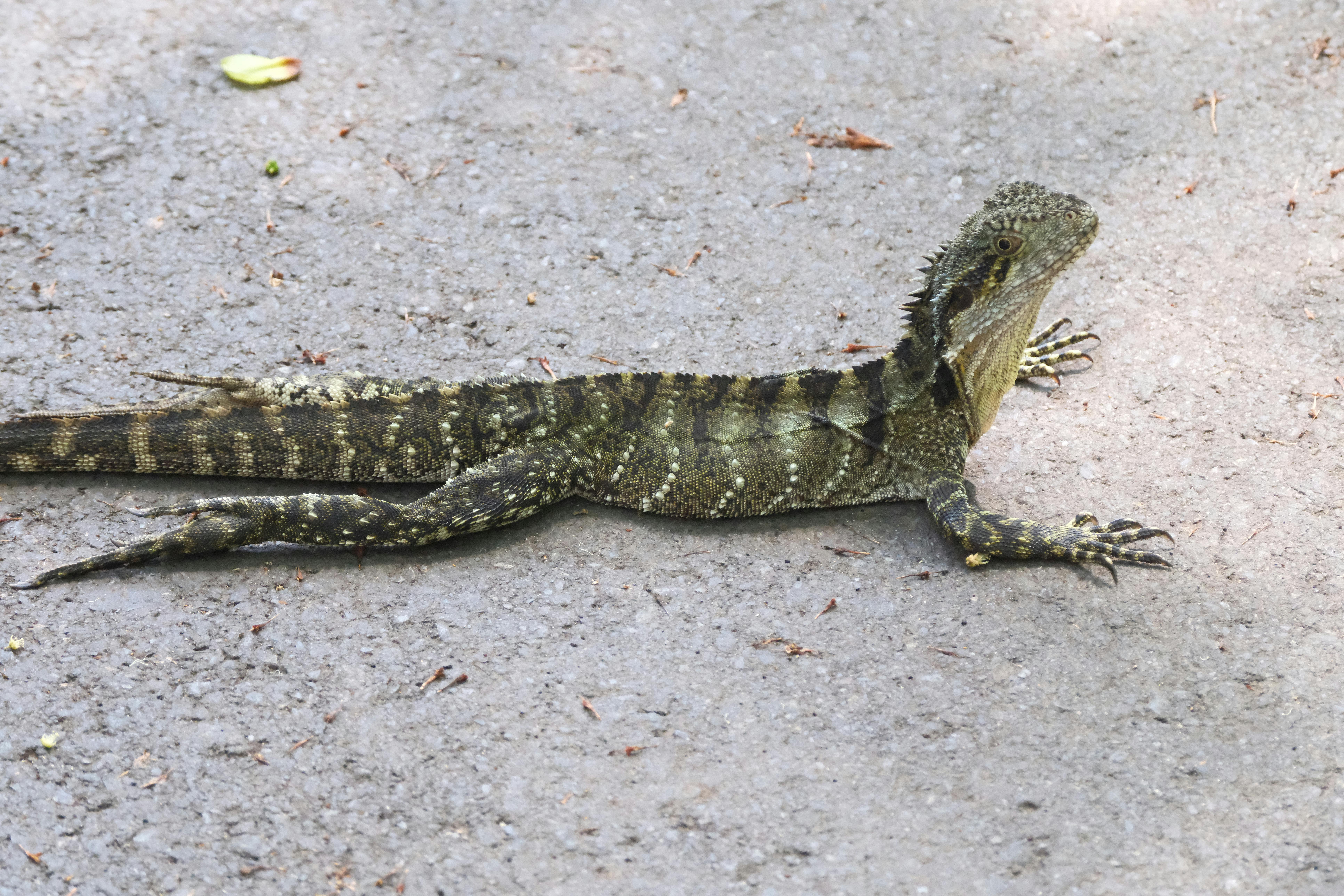 How to Master Digital Detox and Reclaim Your Focus