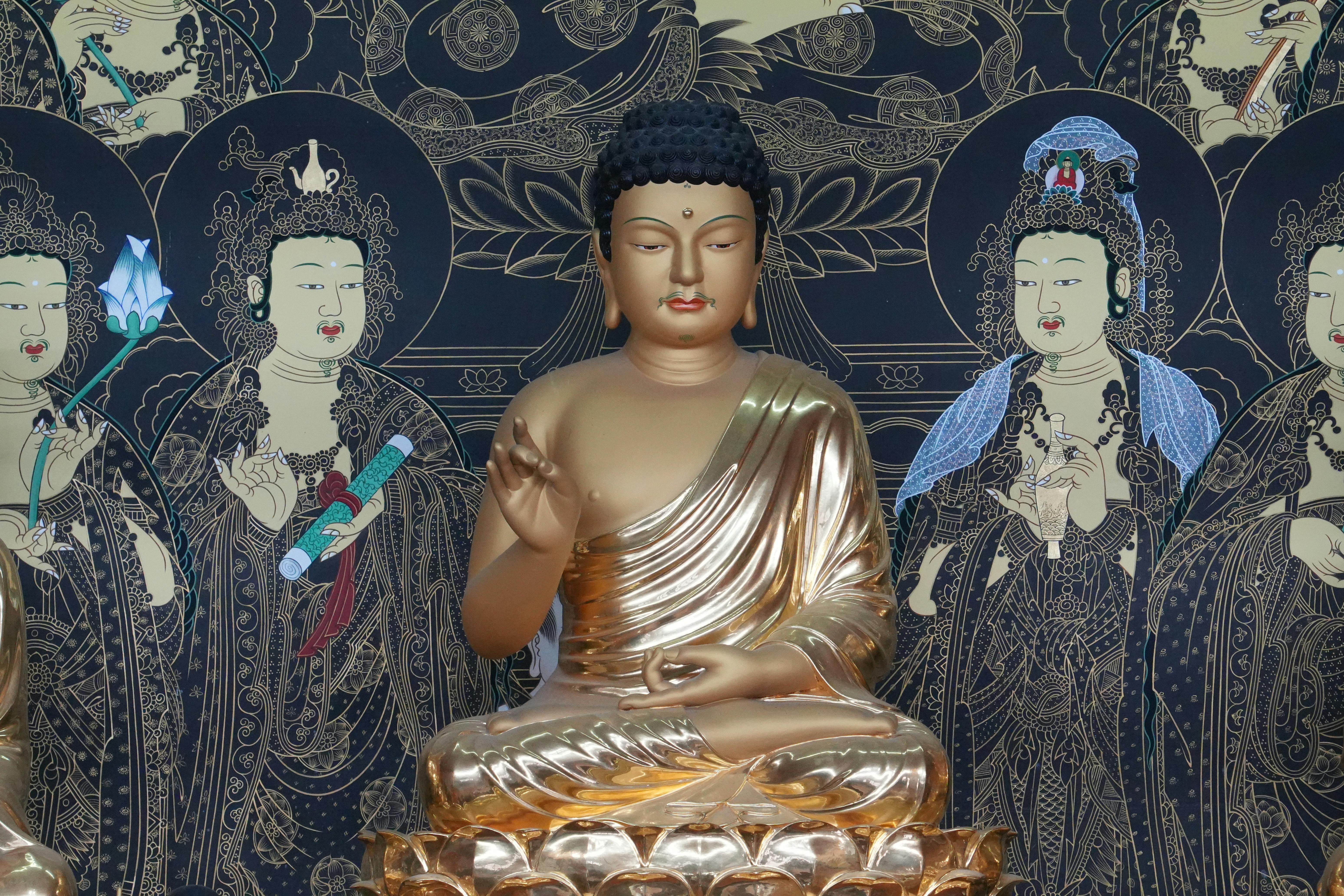 Korea Rasmlari Photos, Download The BEST Free Korea Rasmlari Stock ...