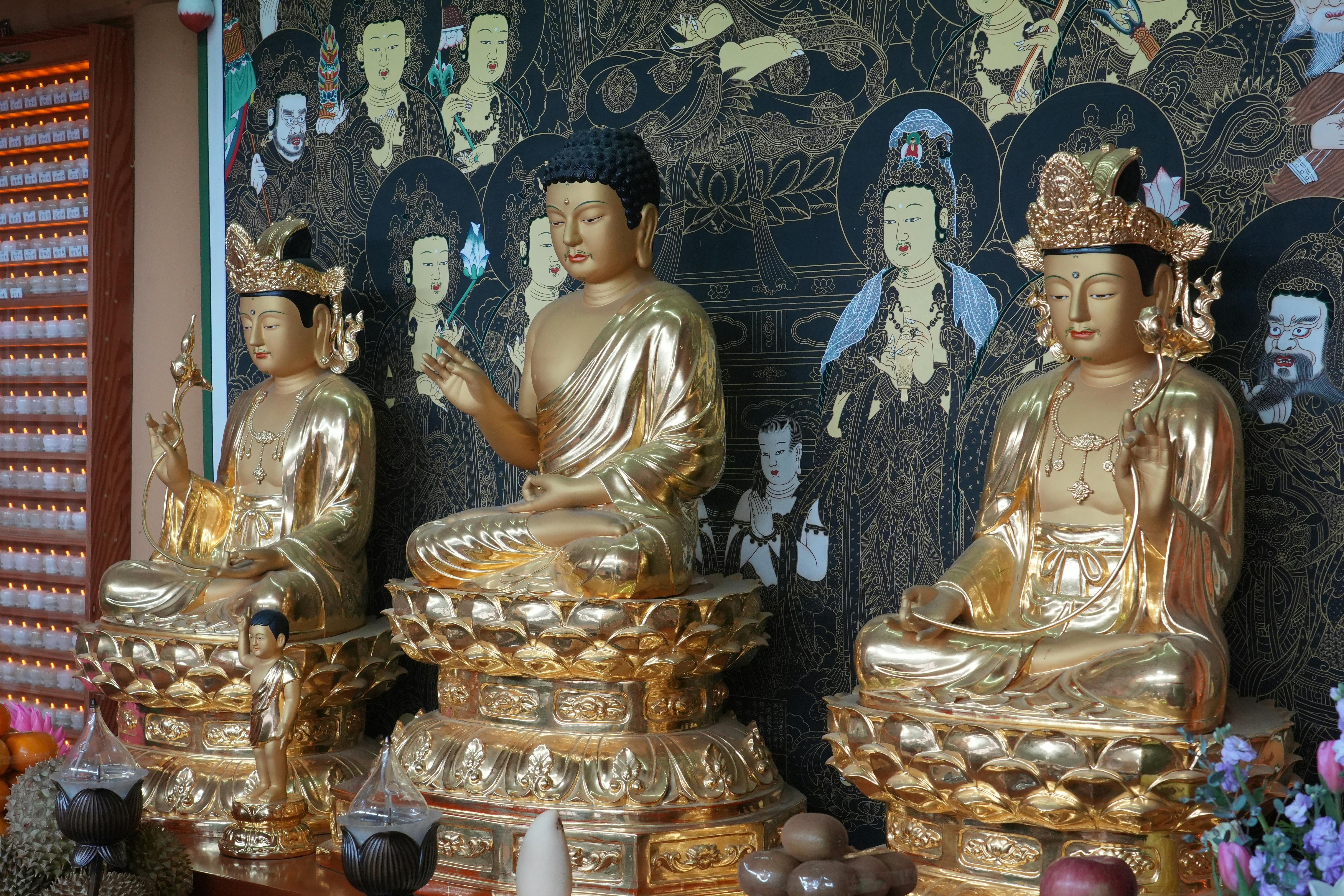 Meditation For Peace