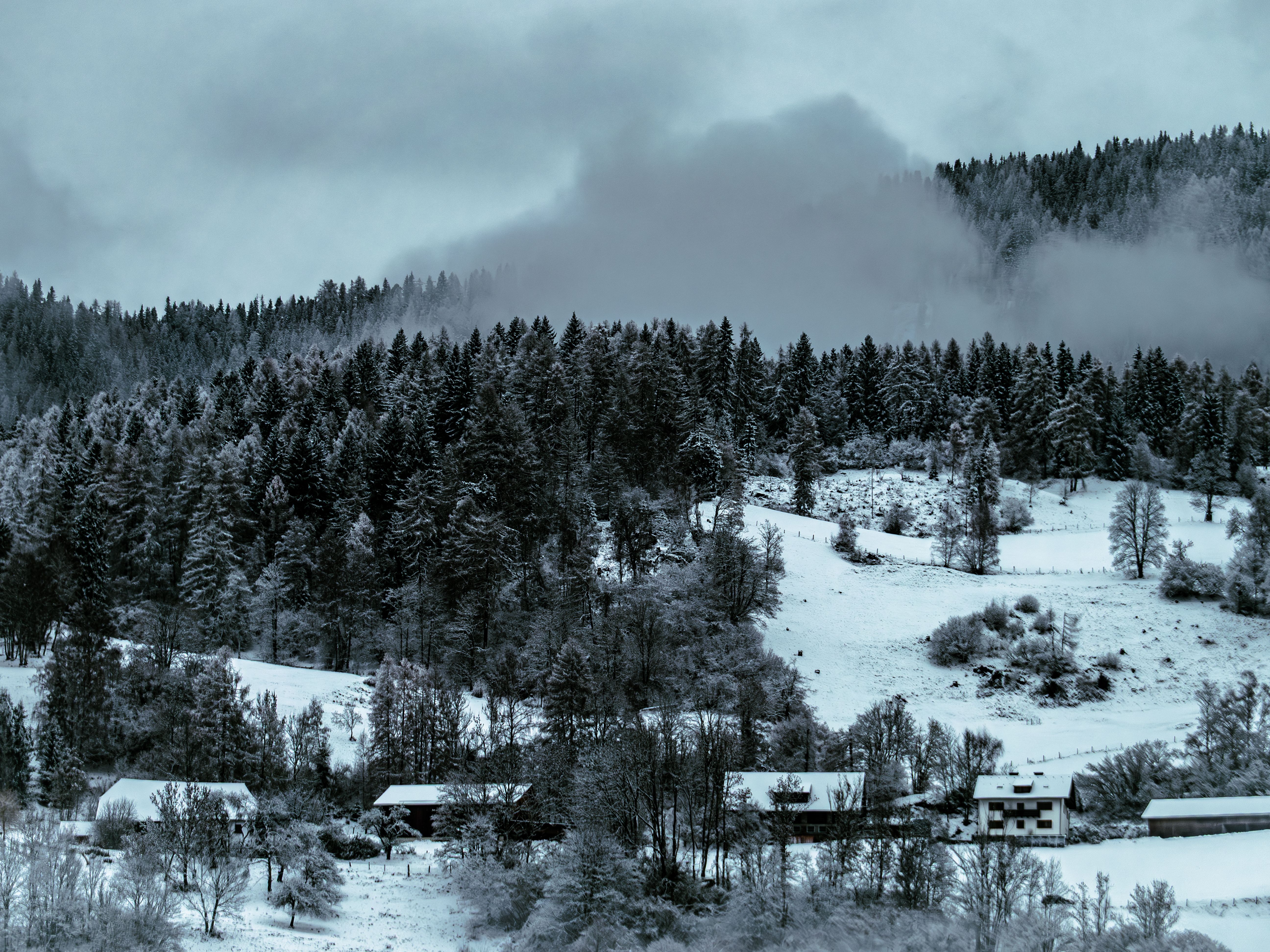 Murau