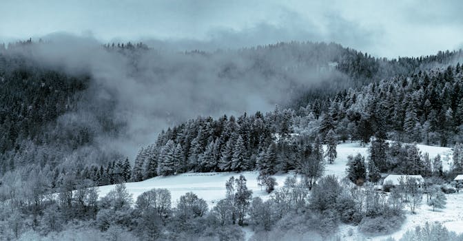 Scenic winter panorama of snow-covered forest in Murau, Austria.