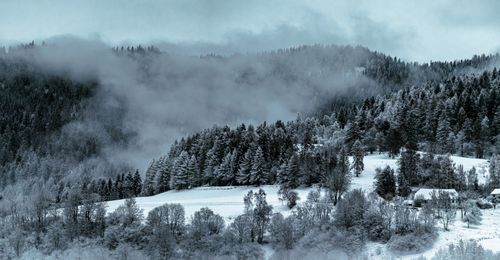 Free Scenic winter panorama of snow-covered forest in Murau, Austria. Stock Photo