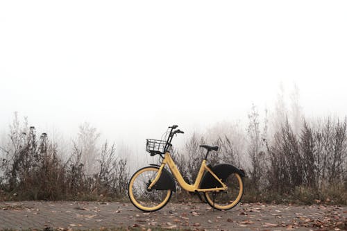 Imagine de stoc gratuită din bicicletă, Bielorusia, ceață