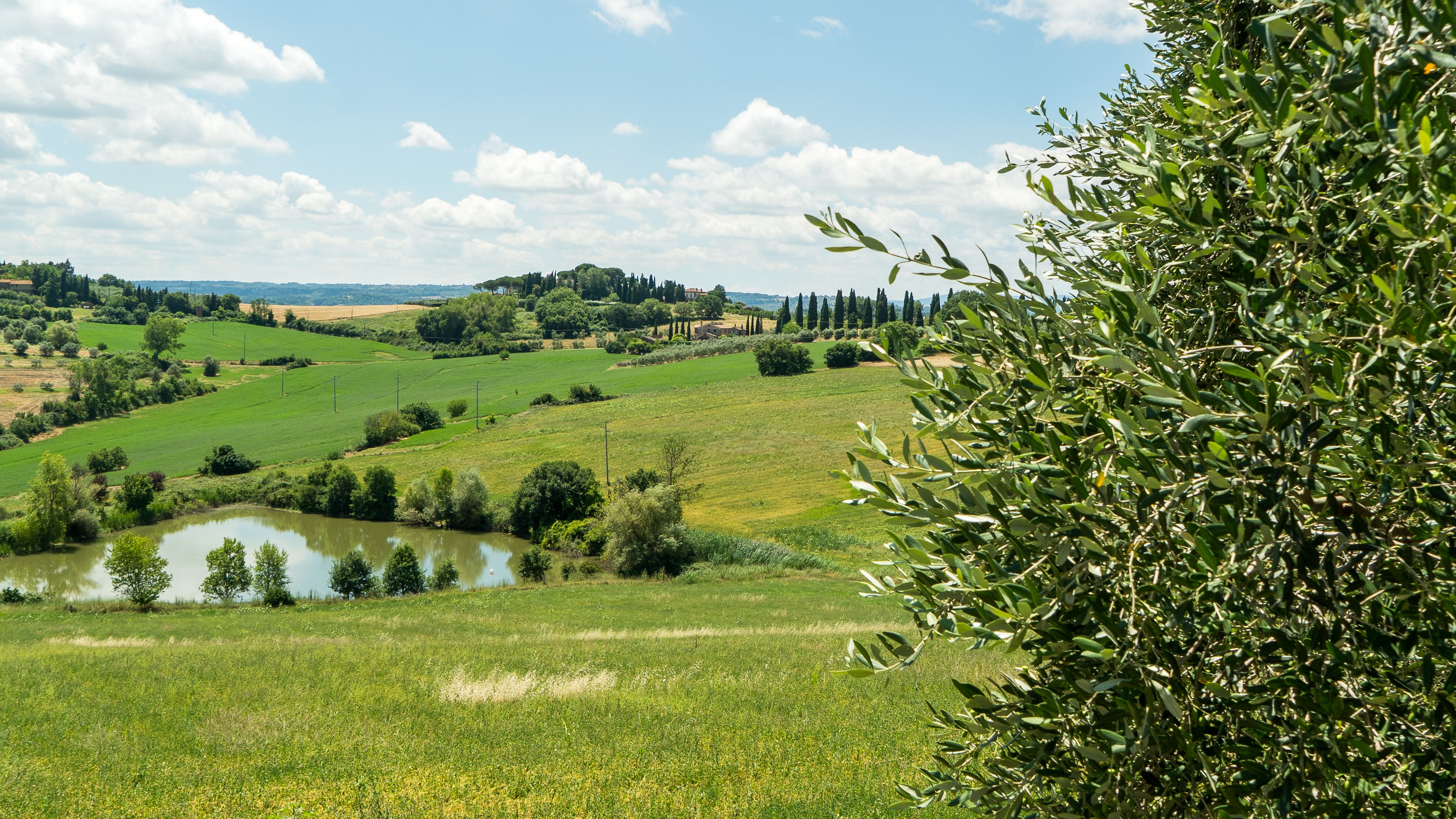 Tours, activities & tickets in Castiglione del Lago