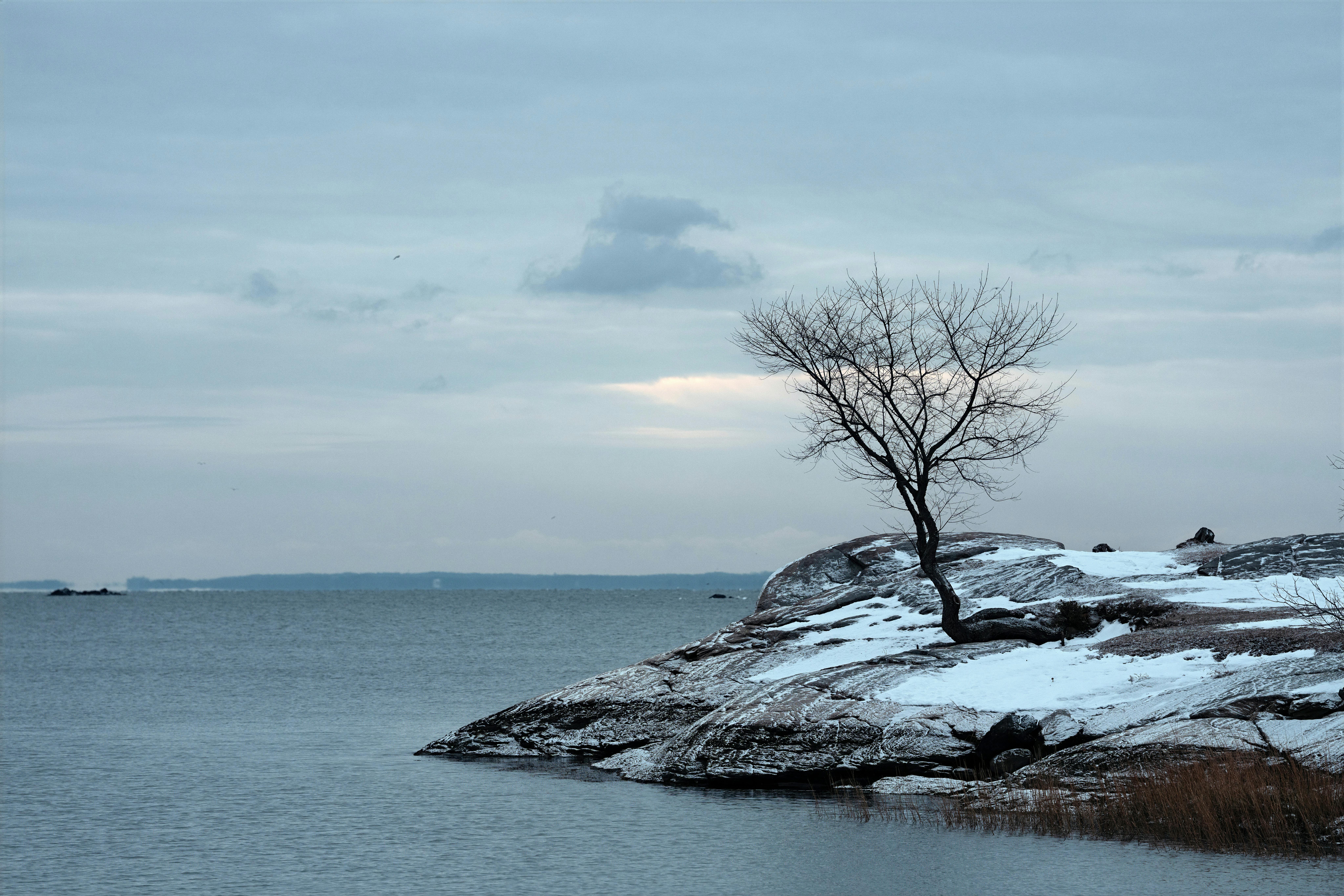 Minimalismul cald: noul trend în amenajările de iarnă