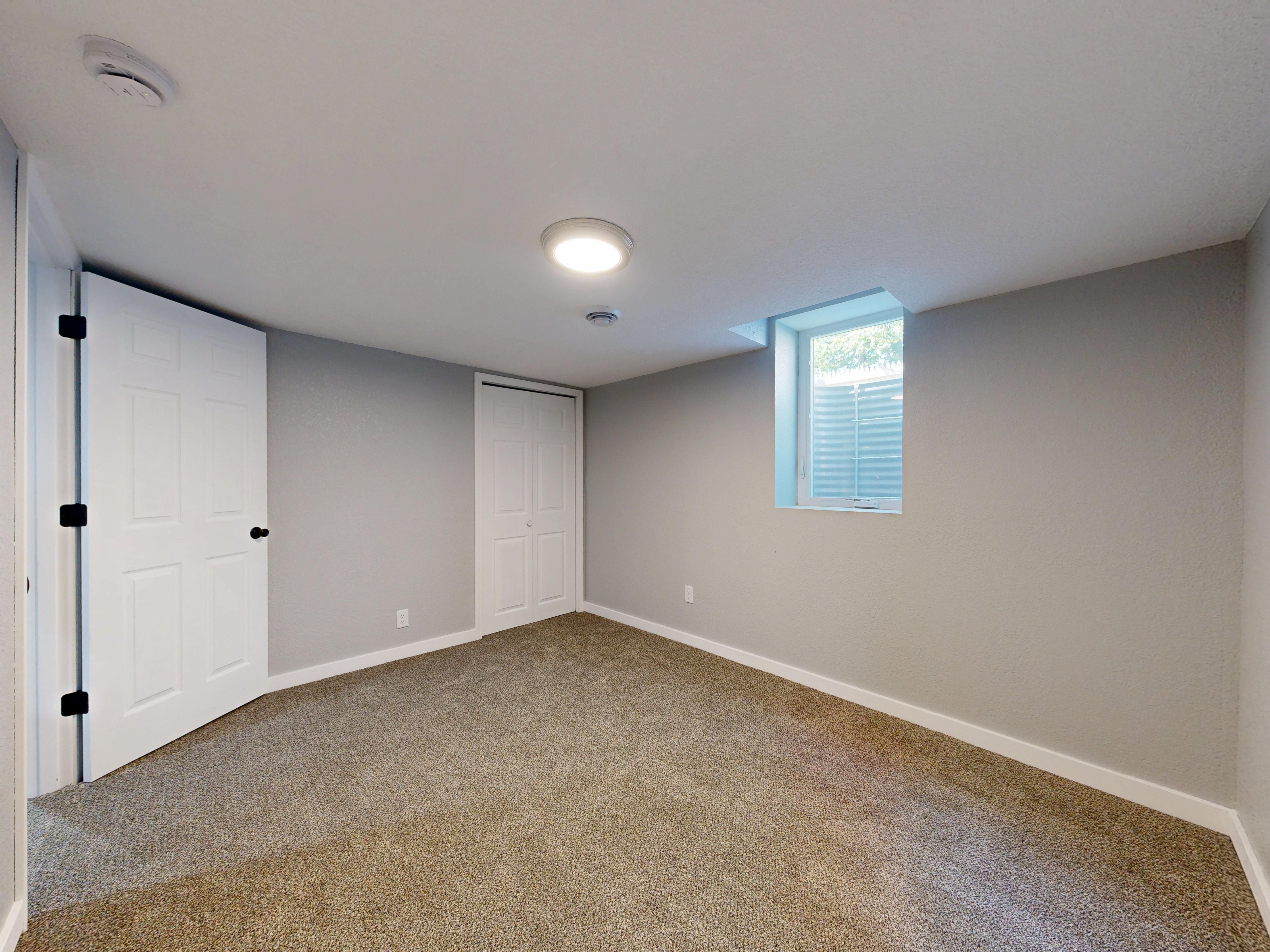 Bright empty room with carpet flooring and natural light from window