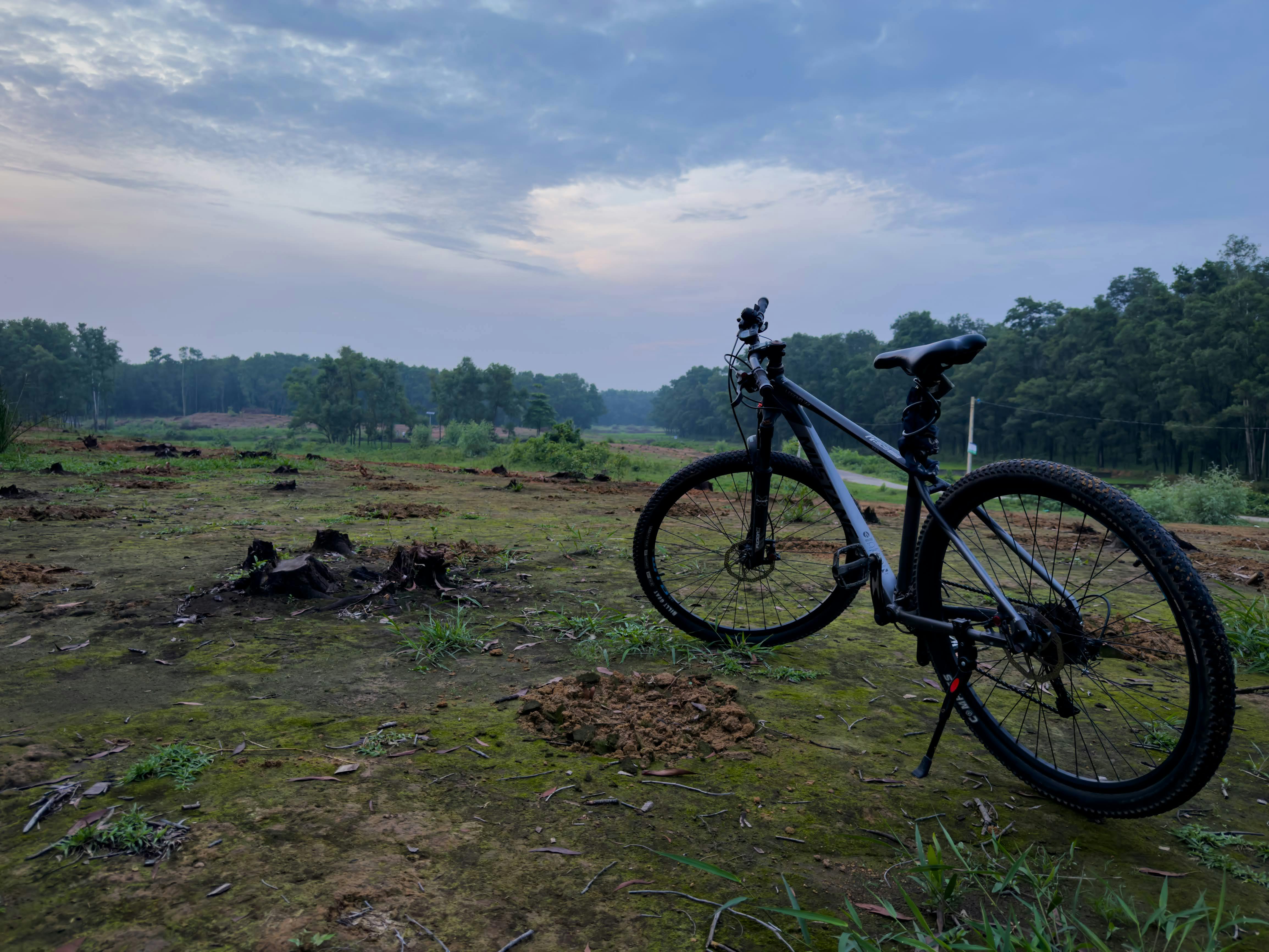 Bhopal nutritionist shares simple lifestyle habits that support your heart, brain, gut, and other vital organs | Health — Pho