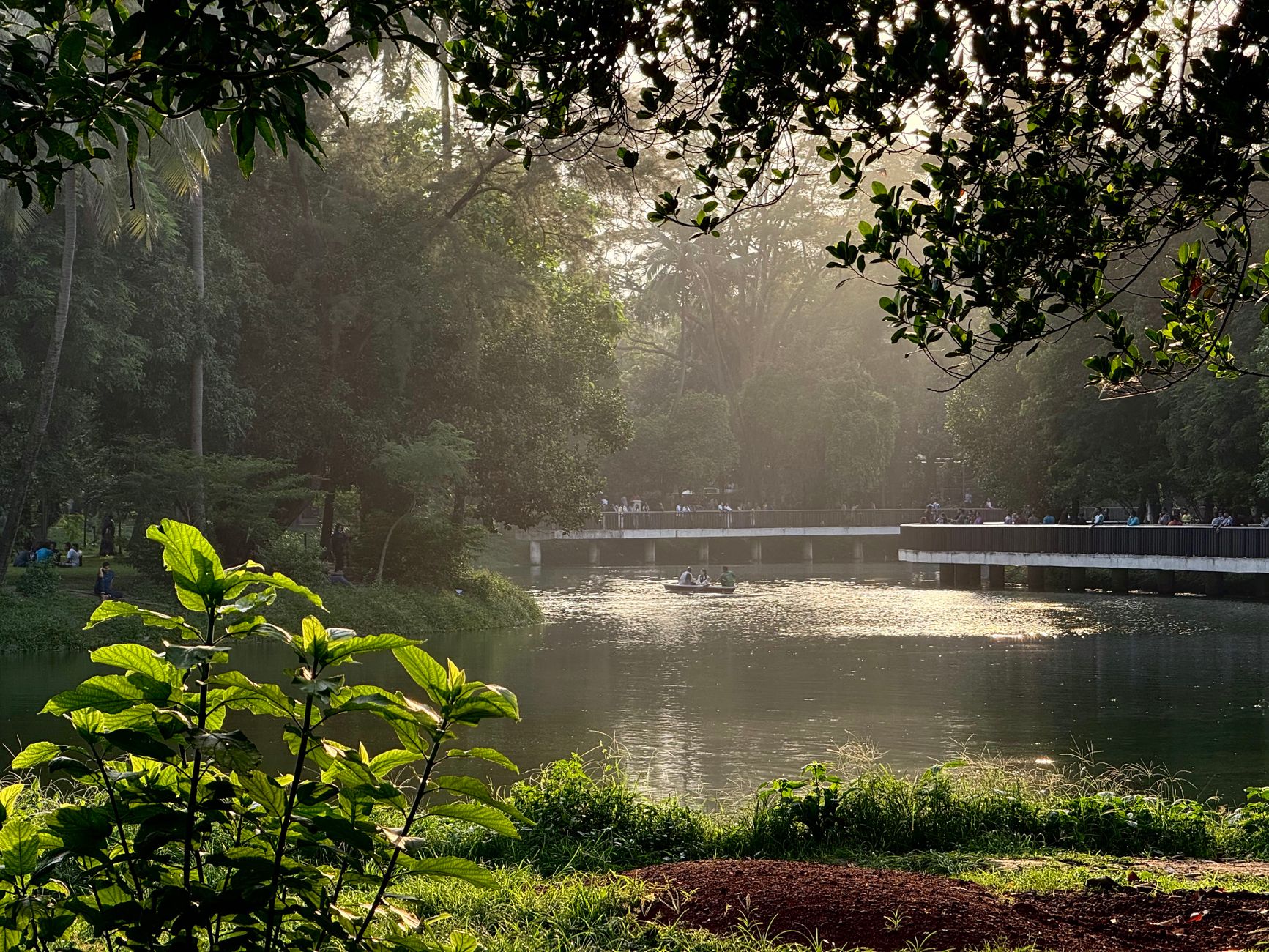Featured image for the article: Amrit Udyan opens in Delhi on August 16 with Babbling Brook