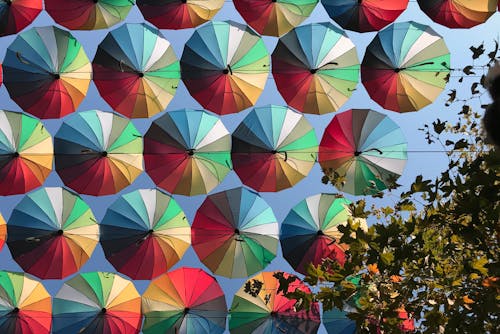 Foto profissional grátis de céu, guarda-chuva, sem filtros