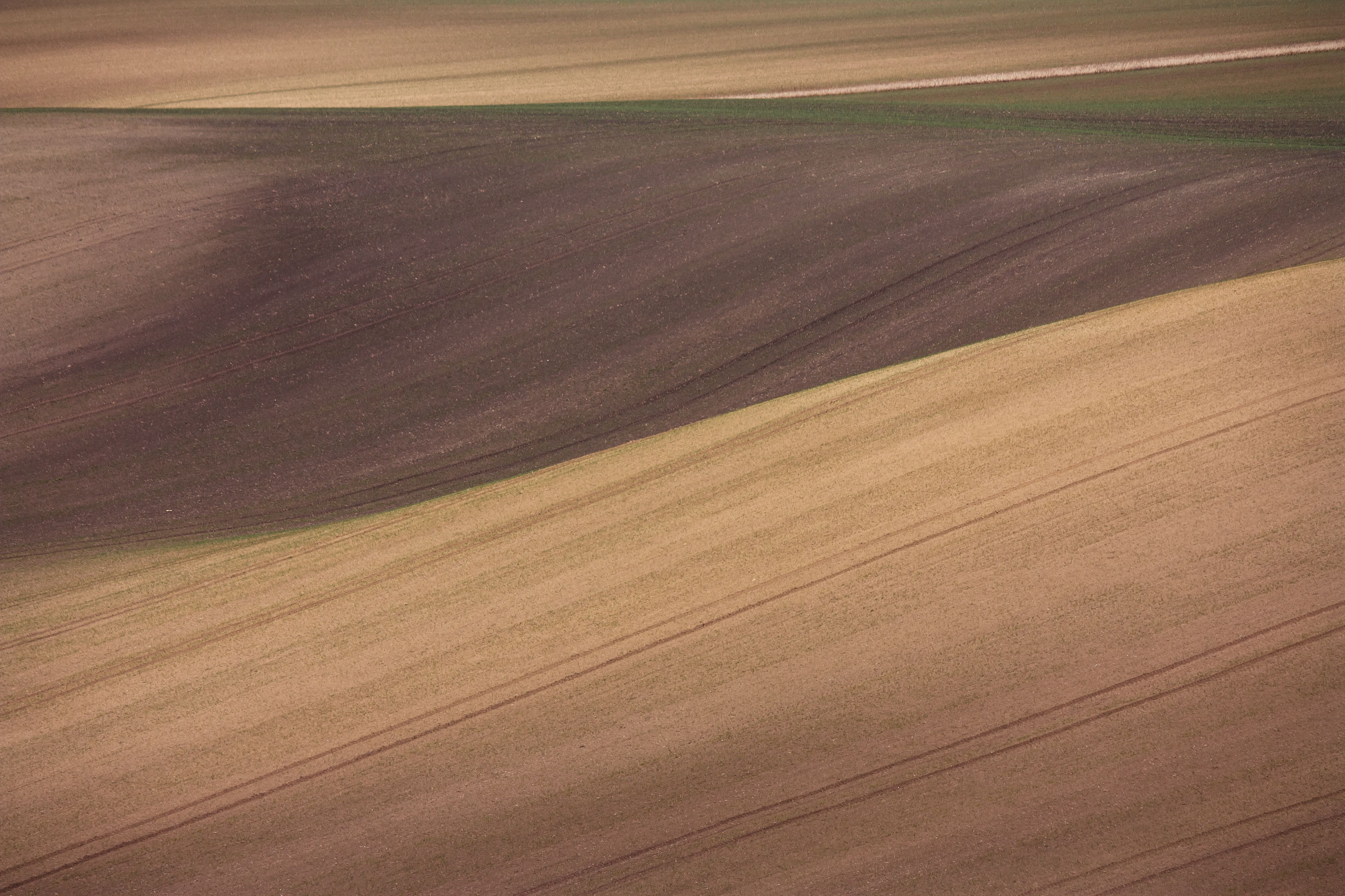 Rolling Fields in South Moravian Region · Free Stock Photo