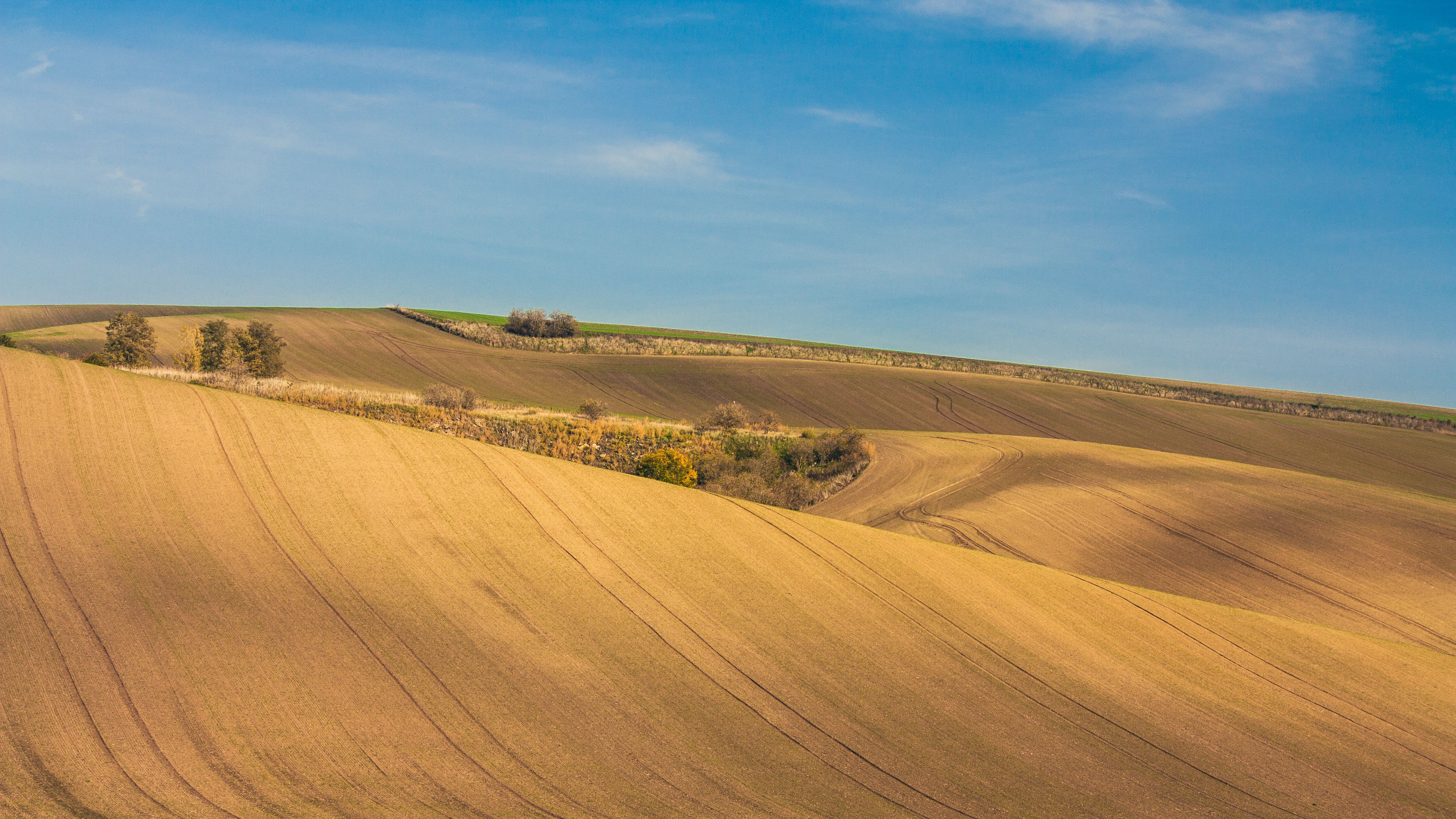 Moravia de Sud: vin, castele și tradiții
