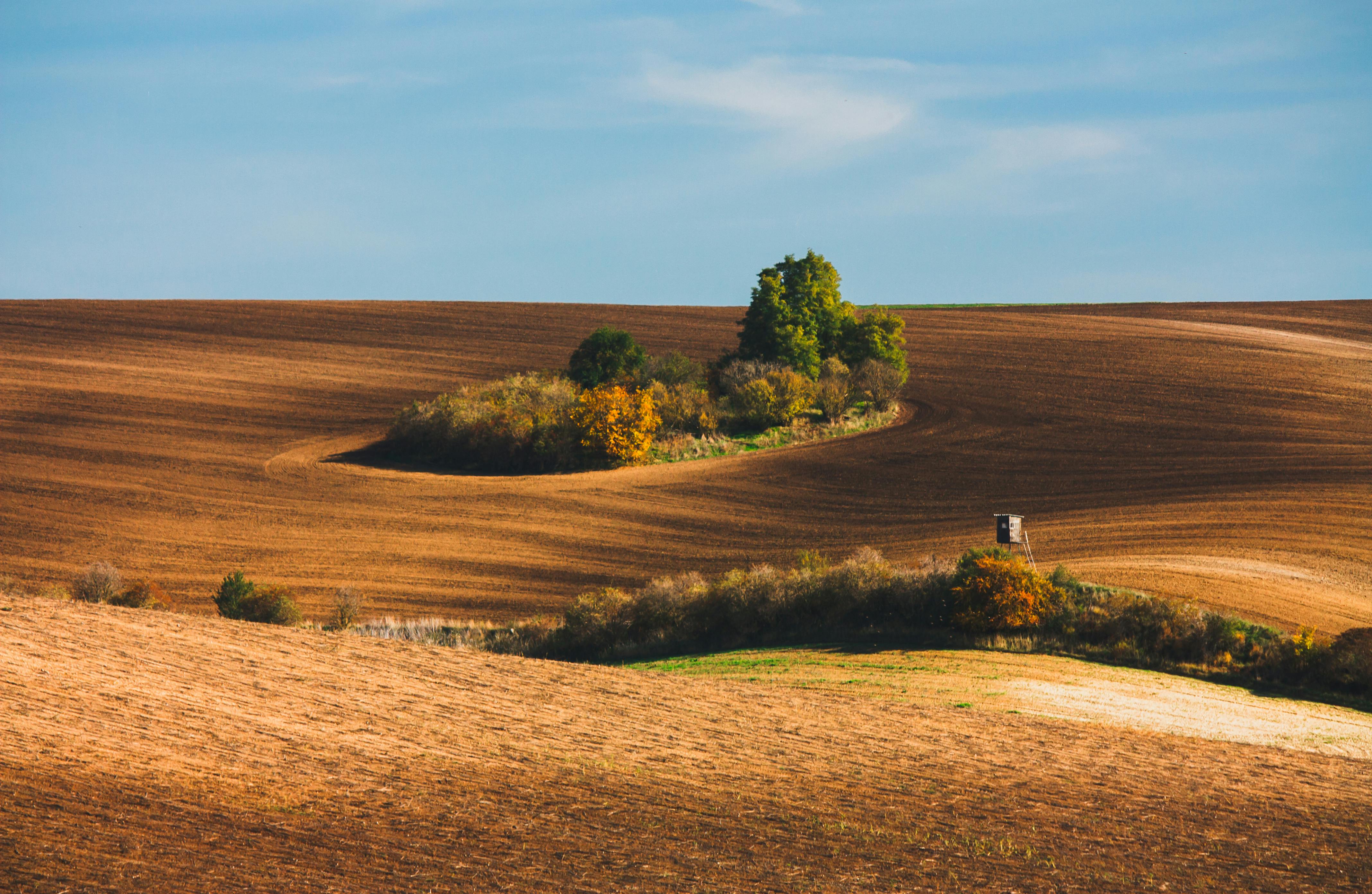 A picturesque autumnal landscape in South Moravia, Czech Republic, featuring brown fields and vibrant trees.