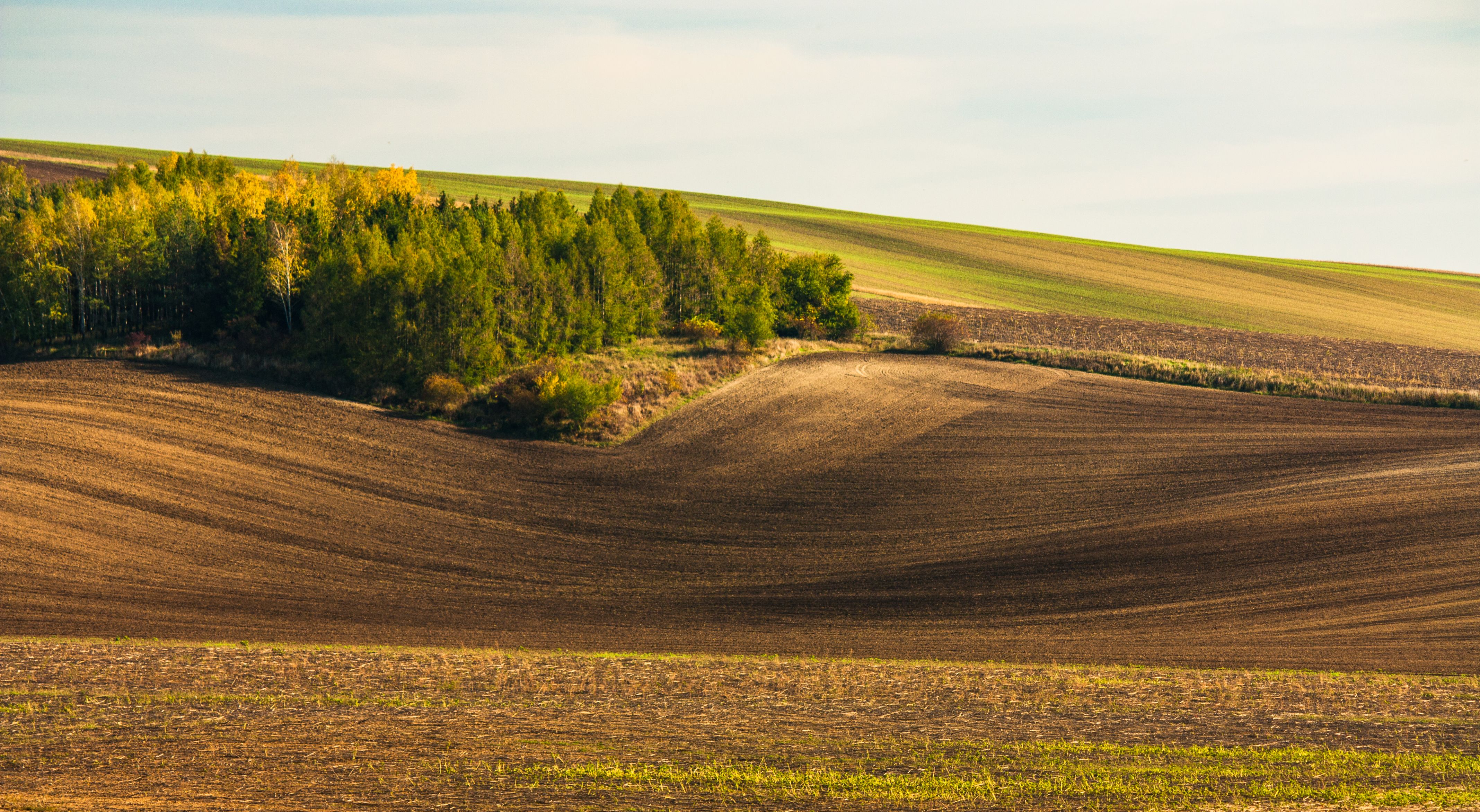 Scenic landscape of rolling hills and forest in South Moravia, Czech Republic.