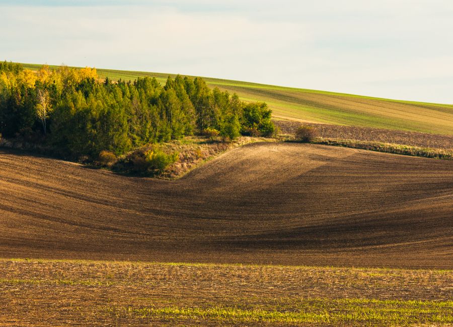 Scenic landscape of rolling hills and forest in South Moravia, Czech Republic.