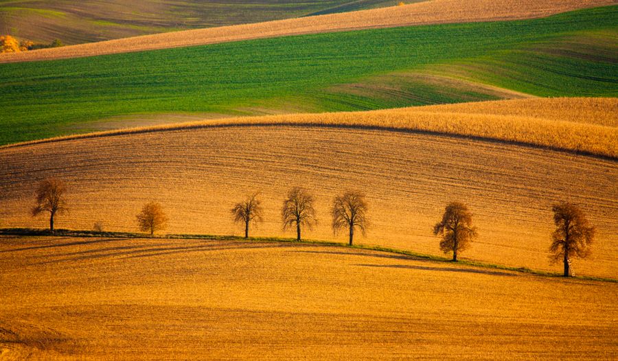 Les collines de la Moravie du Sud