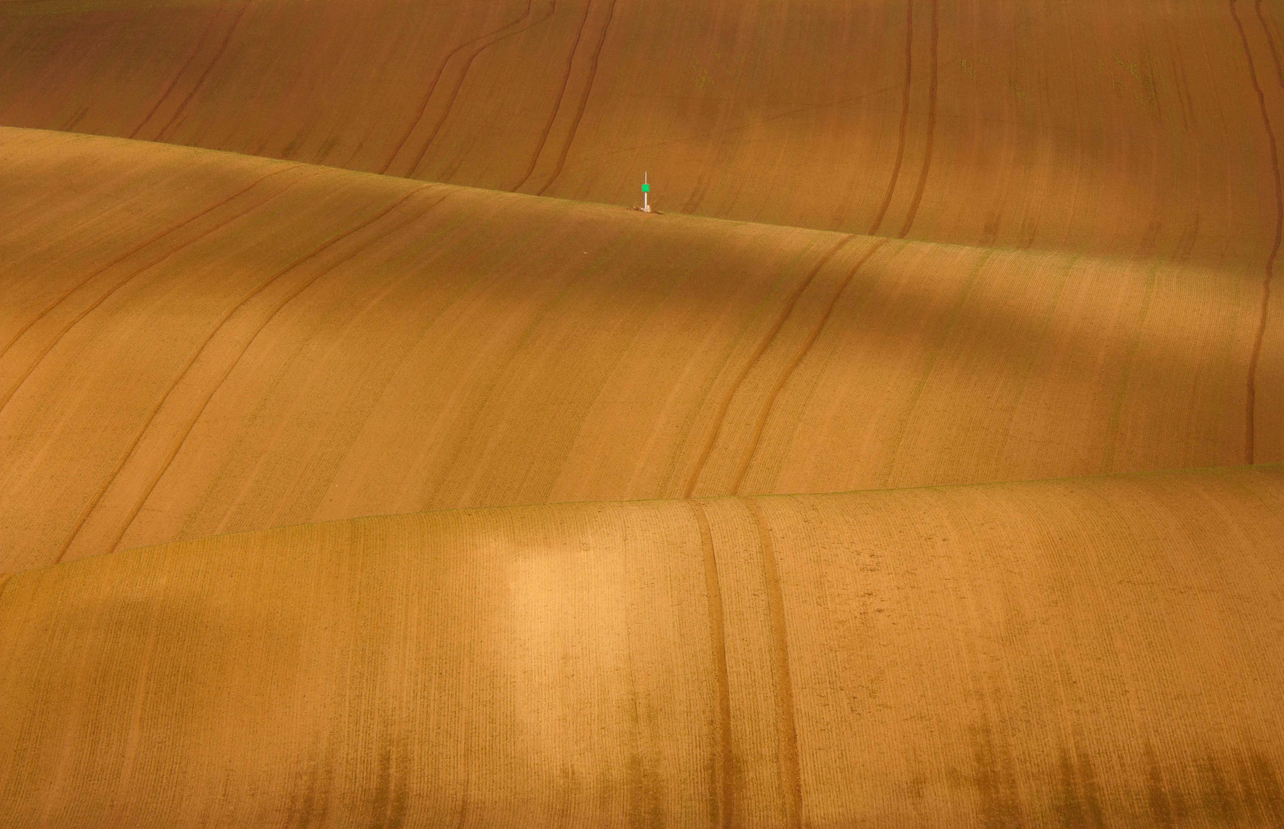 South Moravian Region: A Cultivator of Talent