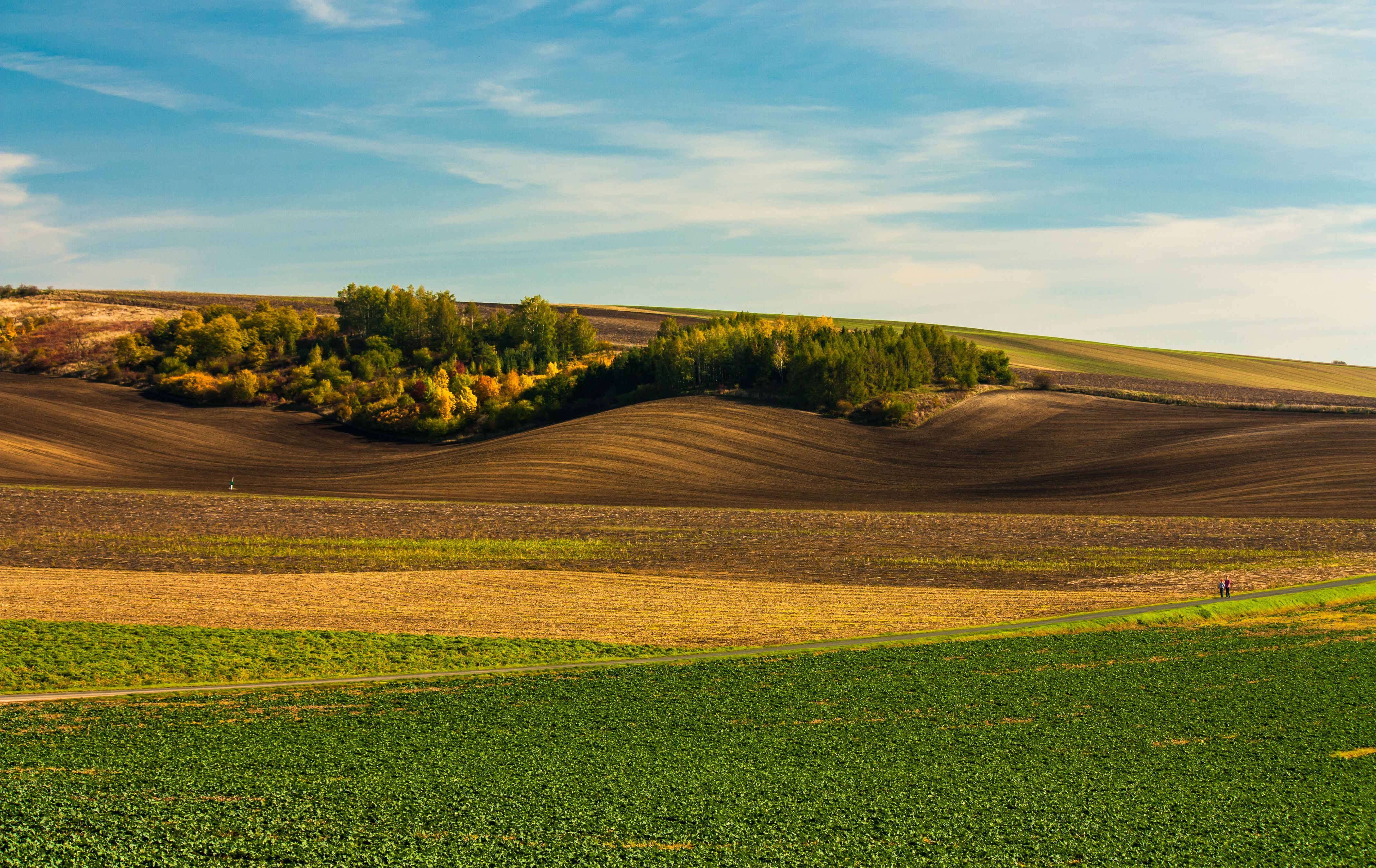 Rolling fields and lush trees under a clear sky, South Moravia landscape.