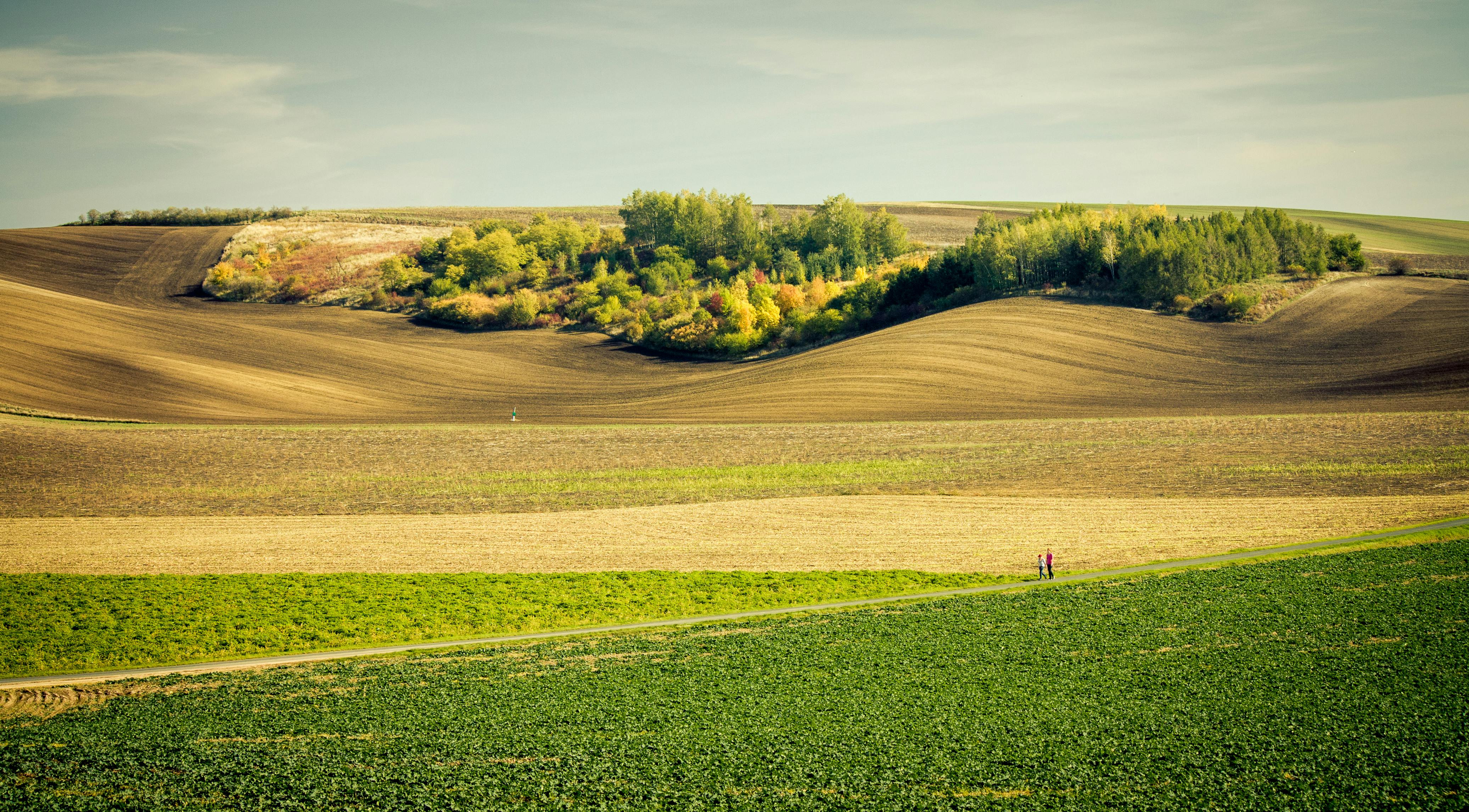 Sweeping view of rolling hills and colorful trees in South Moravia during autumn.