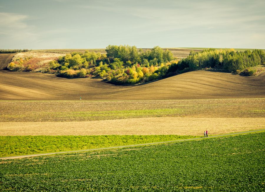 Sweeping view of rolling hills and colorful trees in South Moravia during autumn.