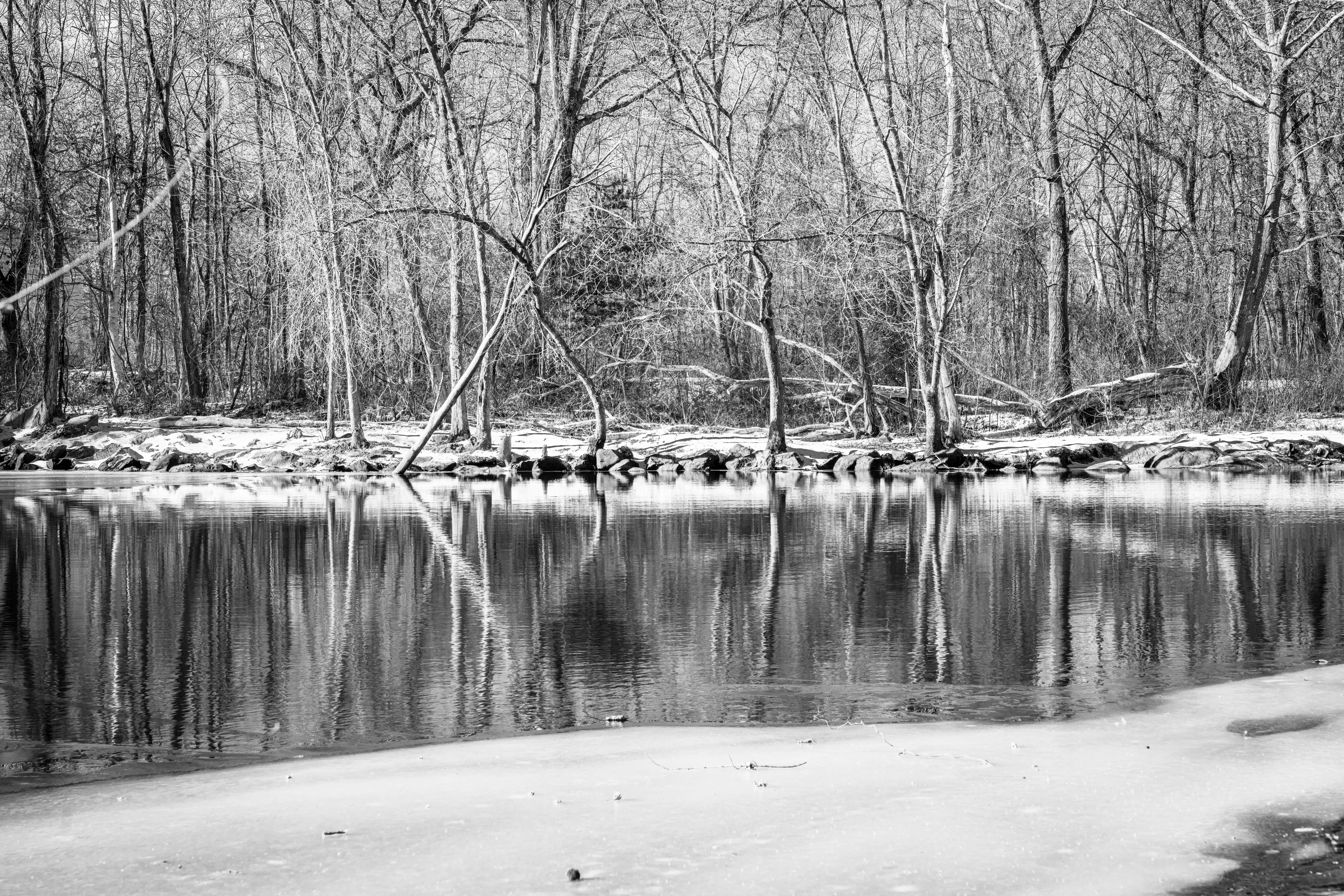 Serene Winter River with Bare Trees in Black and White · Free Stock Photo