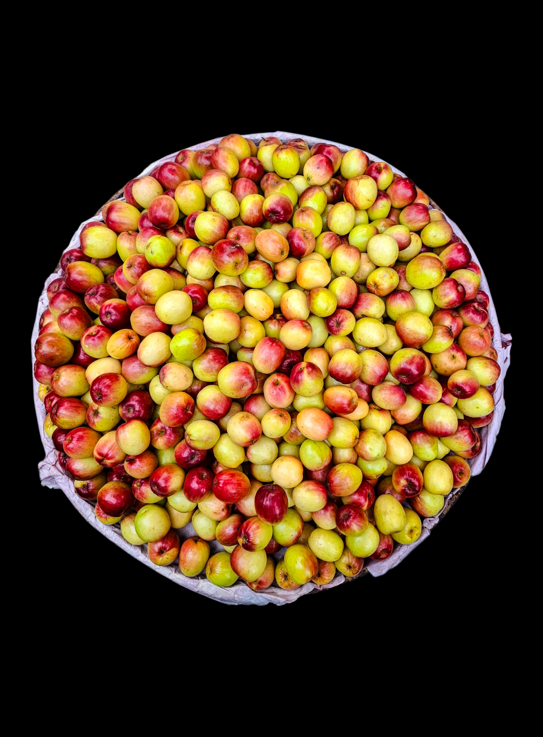 dried jujube fruit closeup