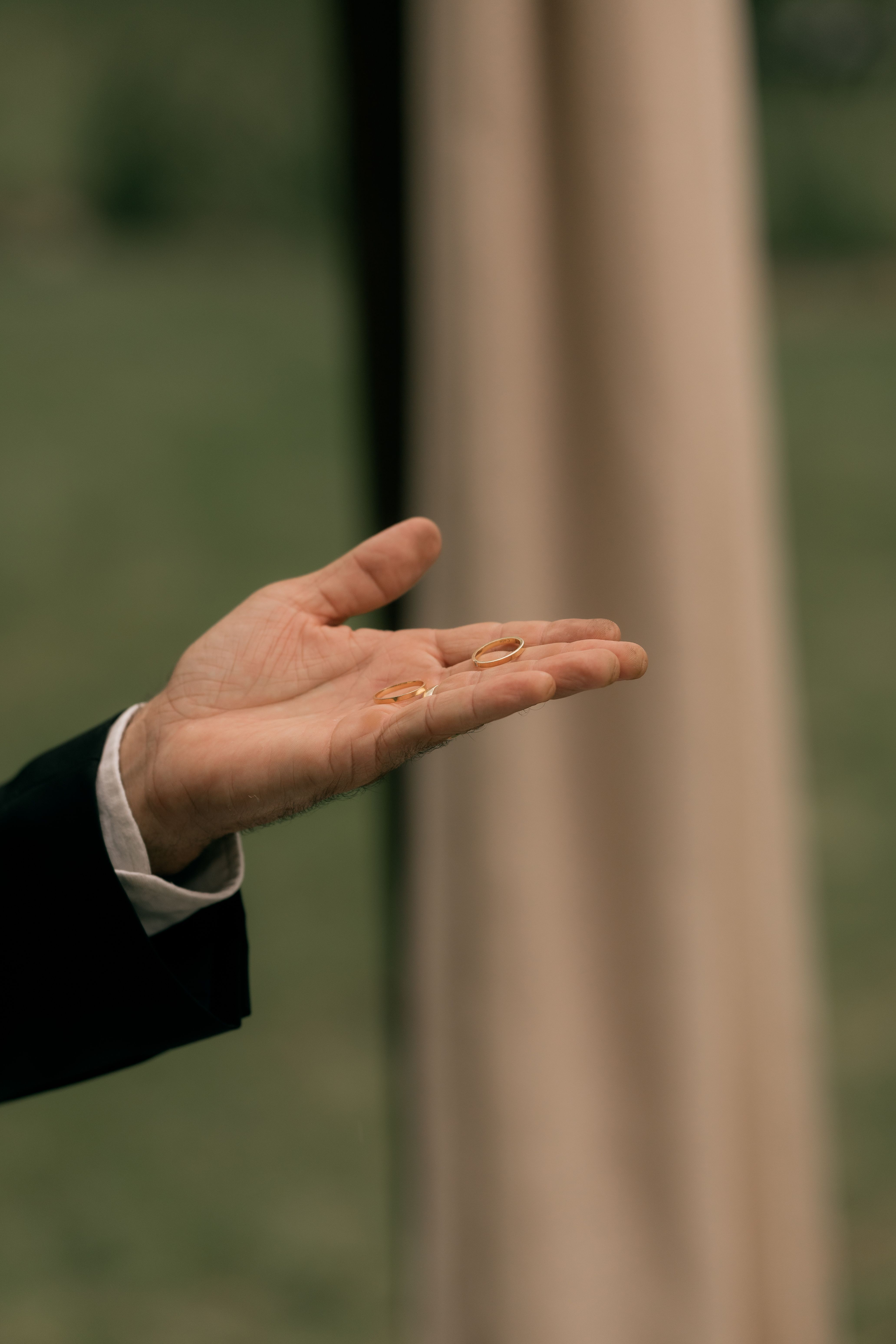 Elegant Hand Holding Wedding Rings Outdoors · Free Stock Photo