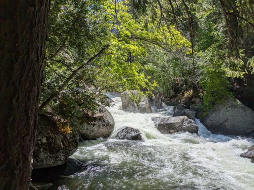 Free Lush forest scenery with a river running through rocks and trees in California. Stock Photo
