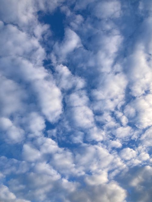 Free stock photo of above clouds, above the clouds, abstract sky Stock Photo