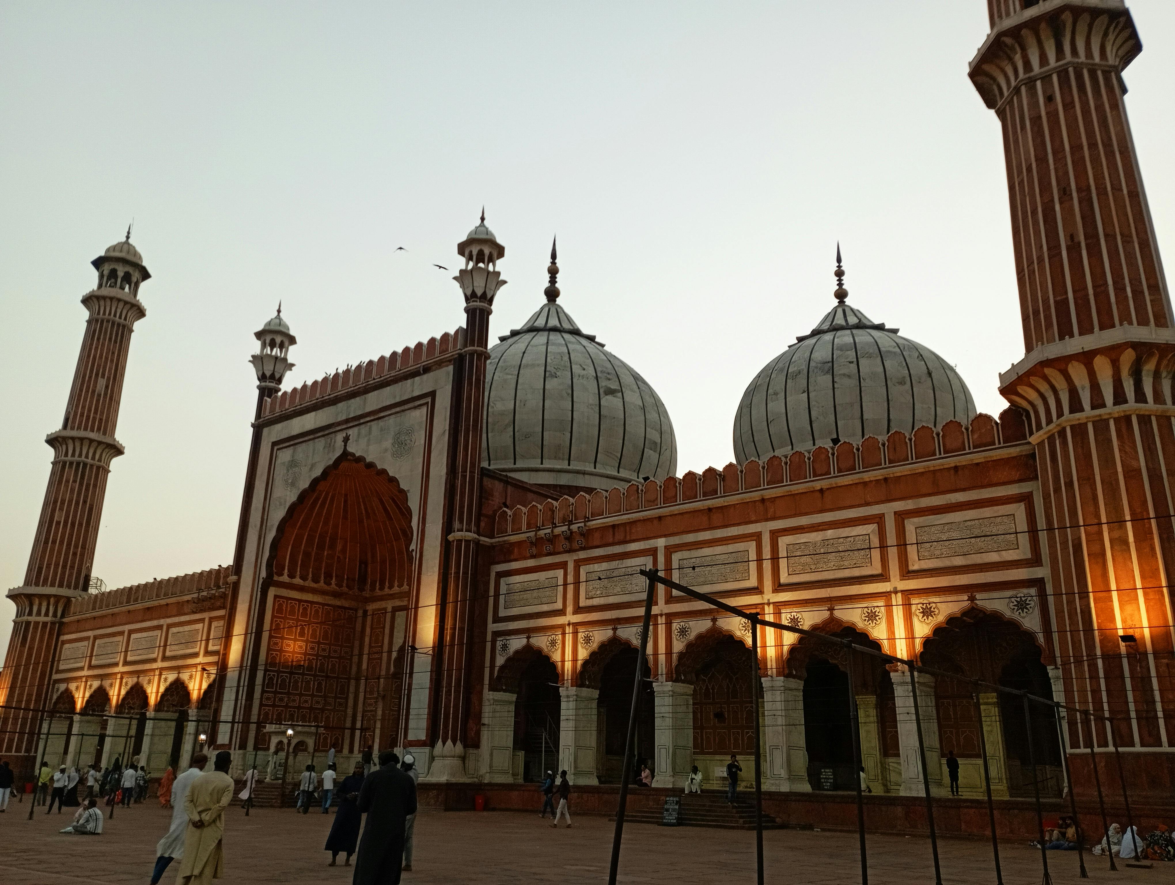 pexels-photo-35495879.jpeg?auto=compress&cs=tinysrgb&h=650&w=940