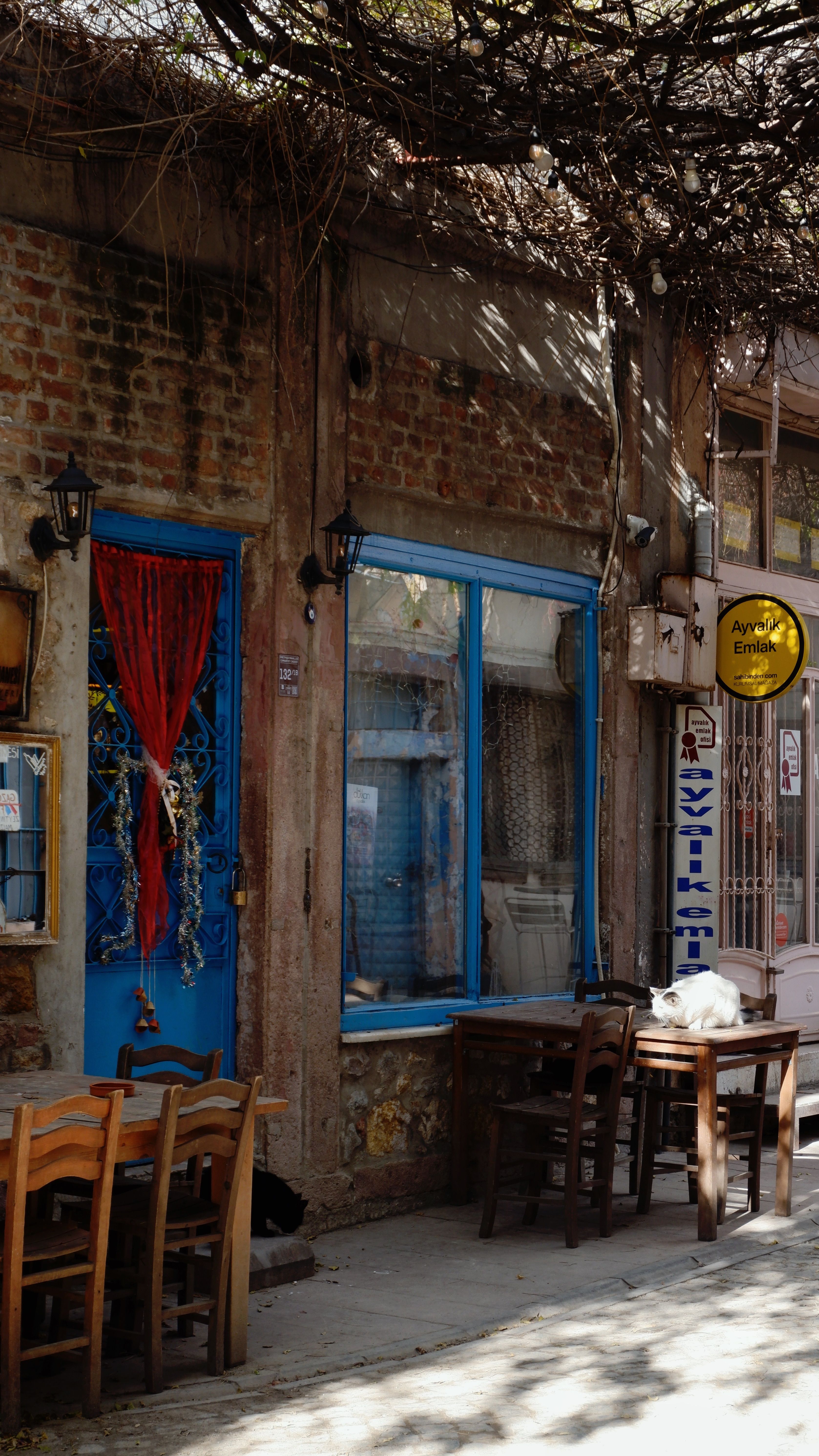 Charming Rustic Cafe Exterior with Blue Door · Free Stock Photo