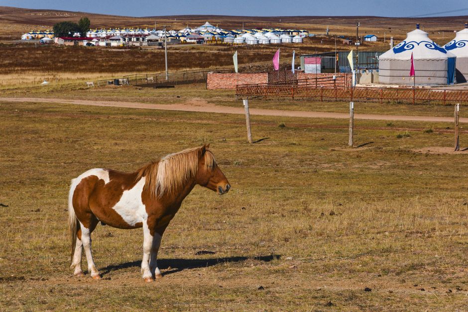 Avantages et Inconvenients de Vivre a Darkhan en 2026