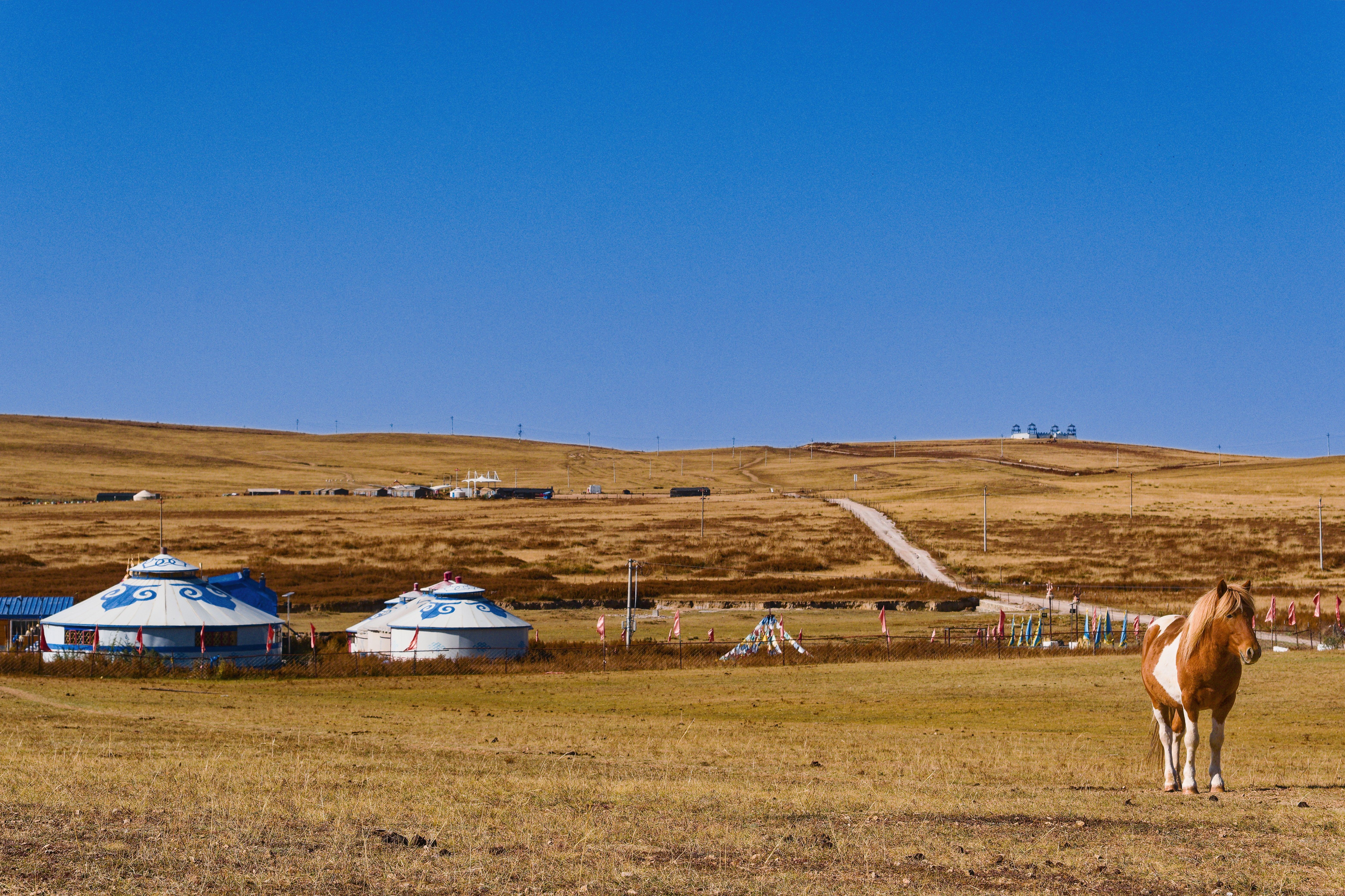 eSIM Mongolia: internet para tu viaje a la estepa