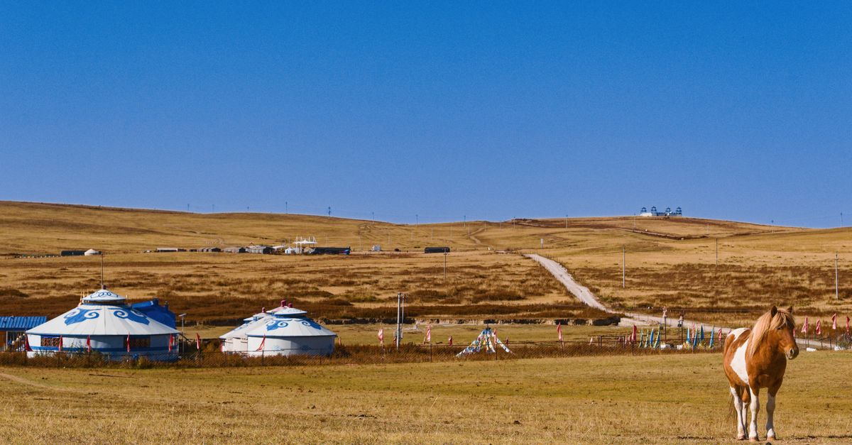 eSIM Mongolia: internet para tu viaje a la estepa