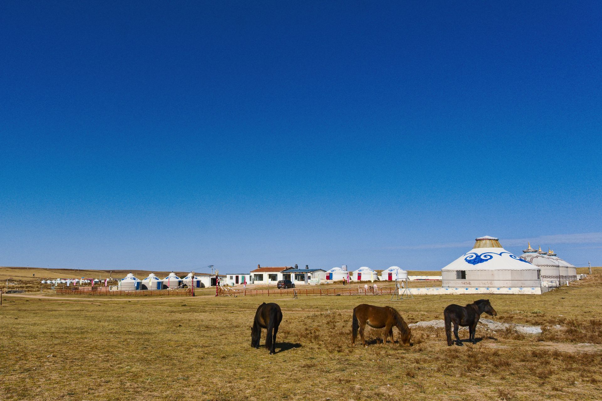 Mongolia — Endless steppe, eagle hunters, Gobi dunes & nomad hospitality