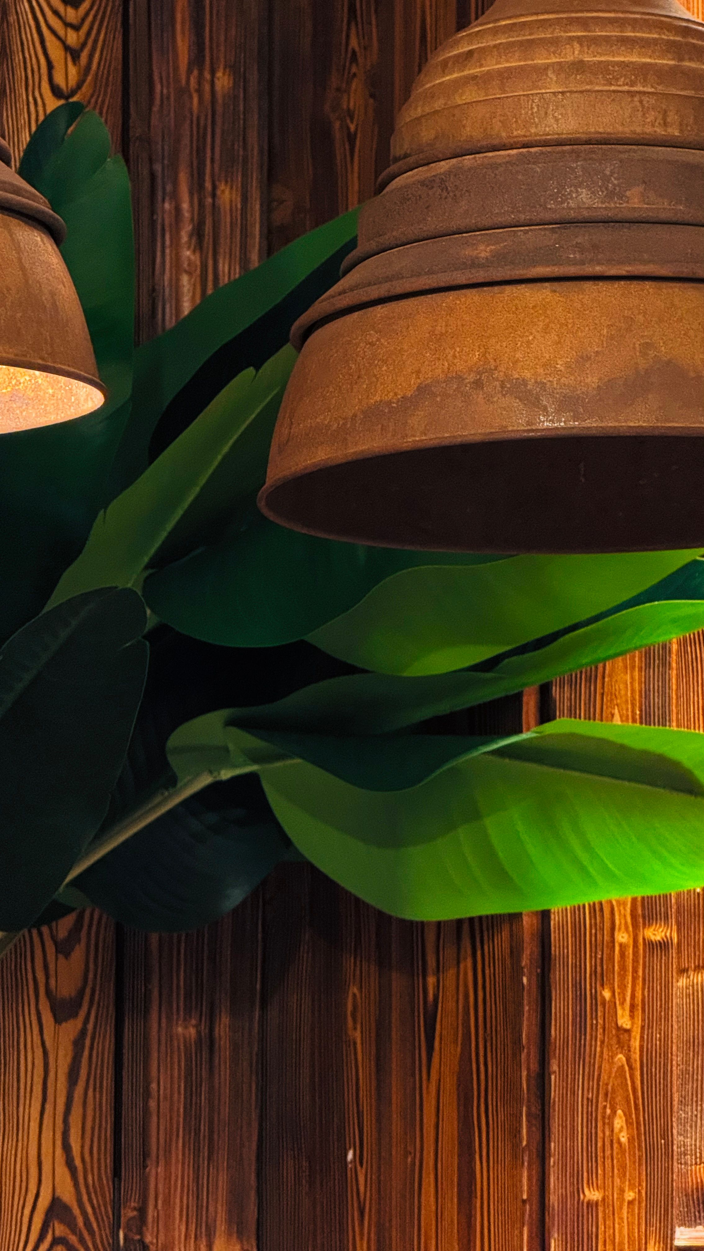 Rustic Pendant Lighting with Green Foliage · Free Stock Photo