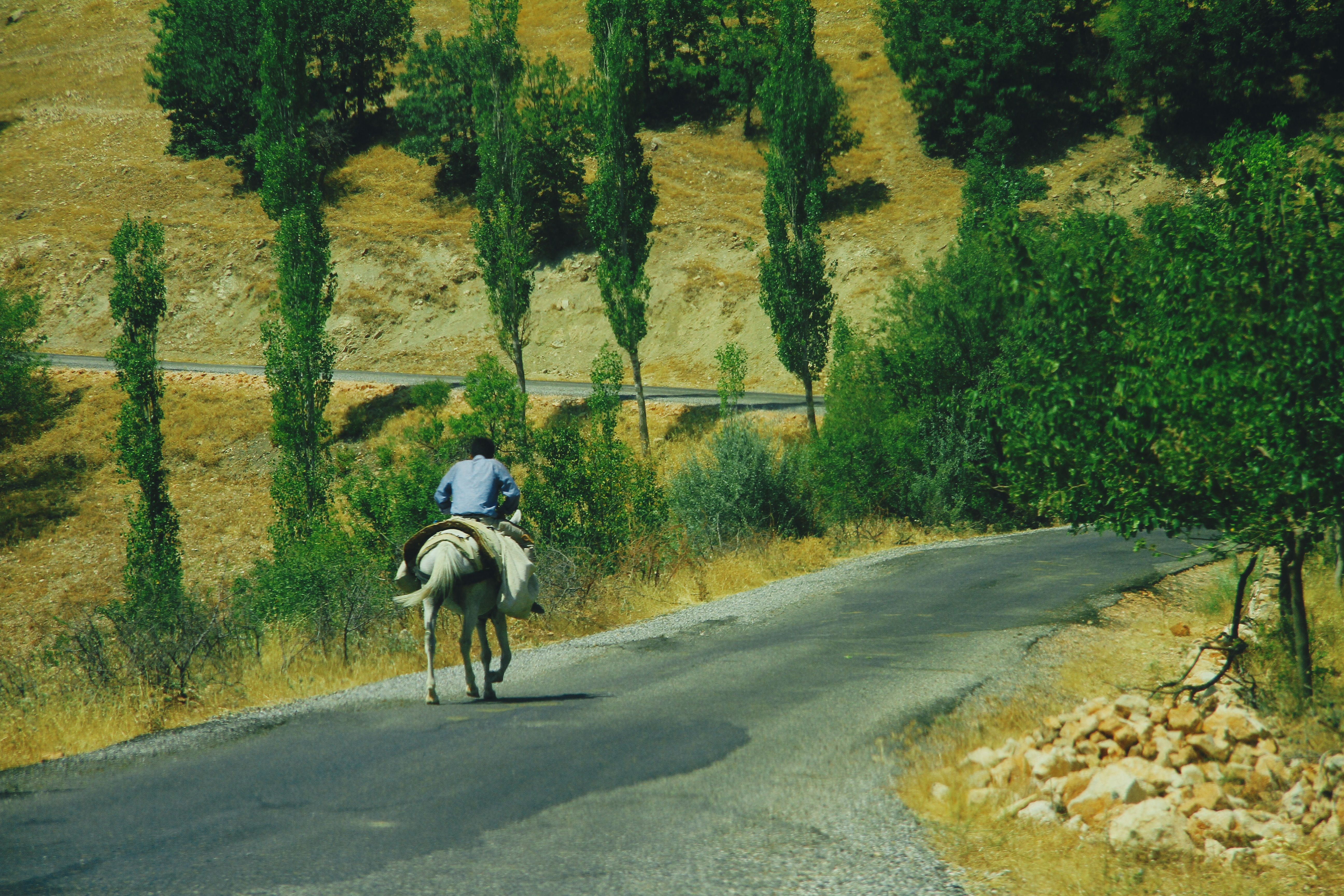 Rider on a Donkey in a Rural Scenic Landscape · Free Stock Photo