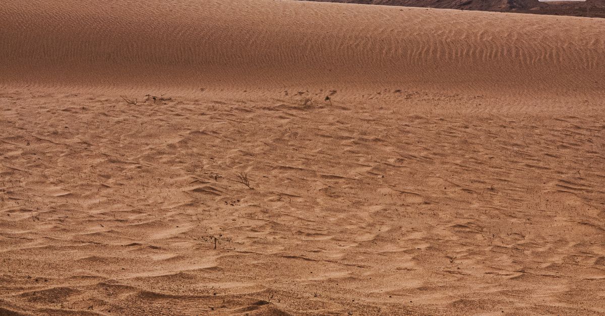 Los 8 desiertos y ambientes extremos que desafían la vida estéril con biodiversidad Los 8 desiertos y ambientes extremos que desafían la vida estéril con biodiversidad