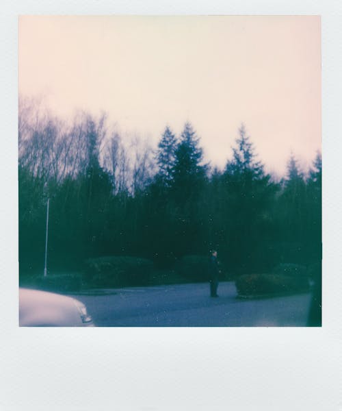 бесплатная Человек идет по дороге между деревьями Стоковое фото