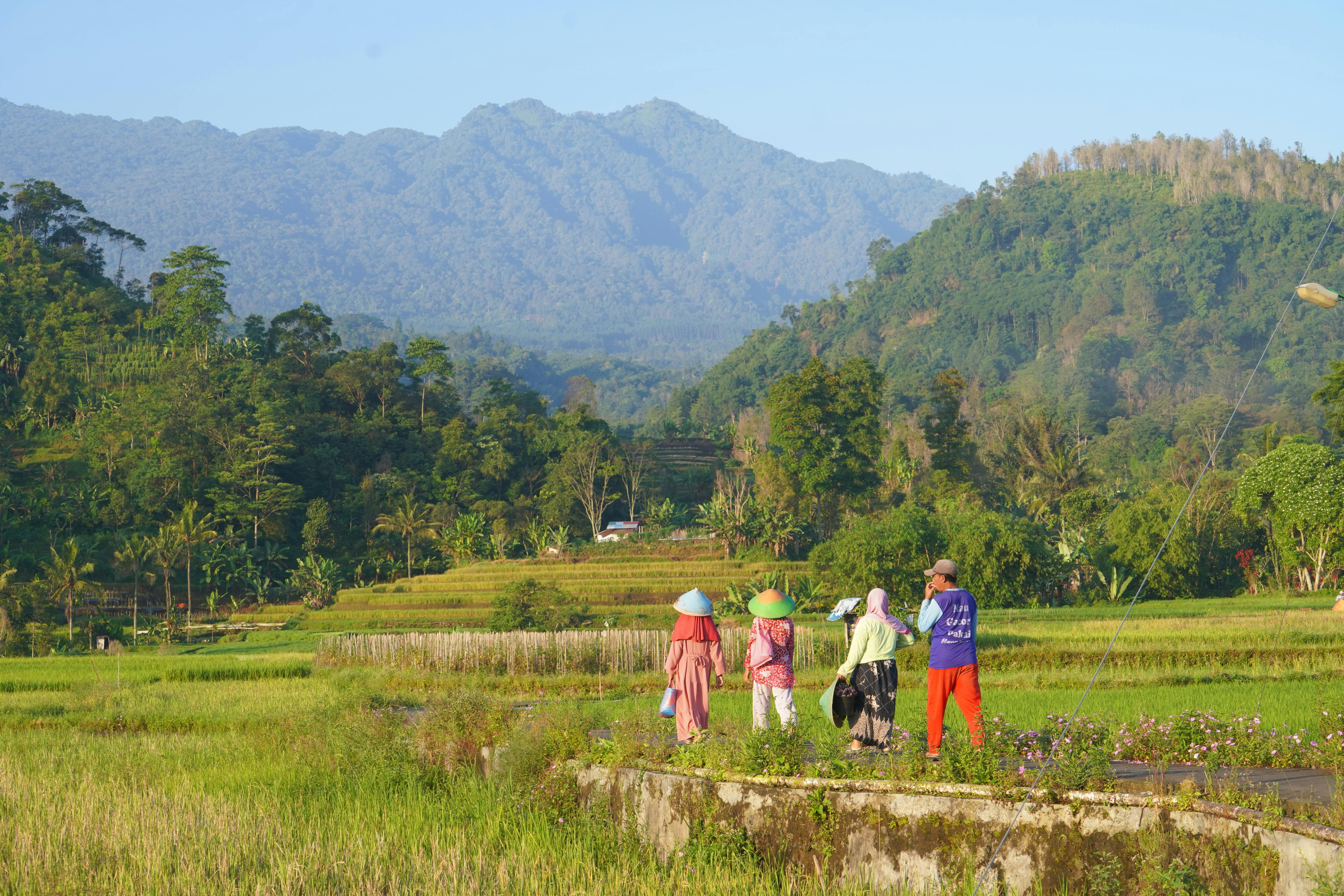 Java O Reilly J2Me In A Nutshell Decrypted