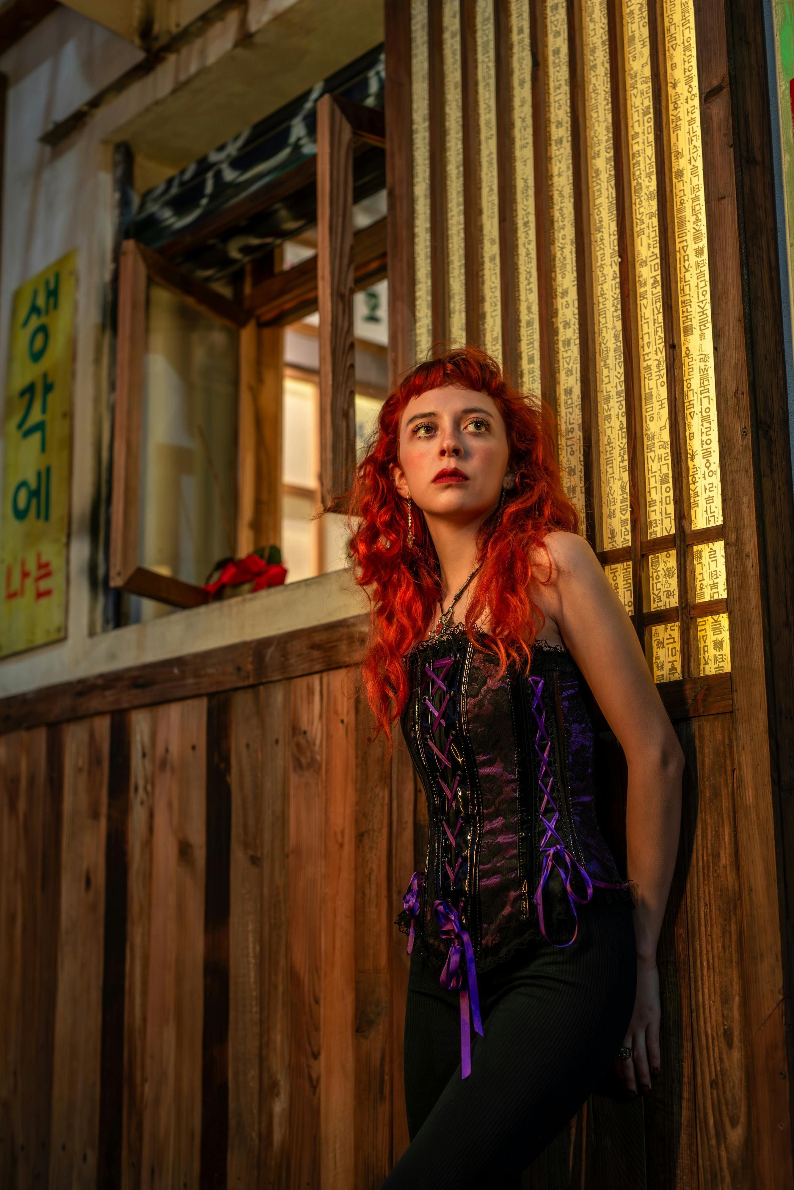 Gratis Fotos de stock gratuitas de actividad nocturna, arquitectura coreana, arte del retrato Foto de stock