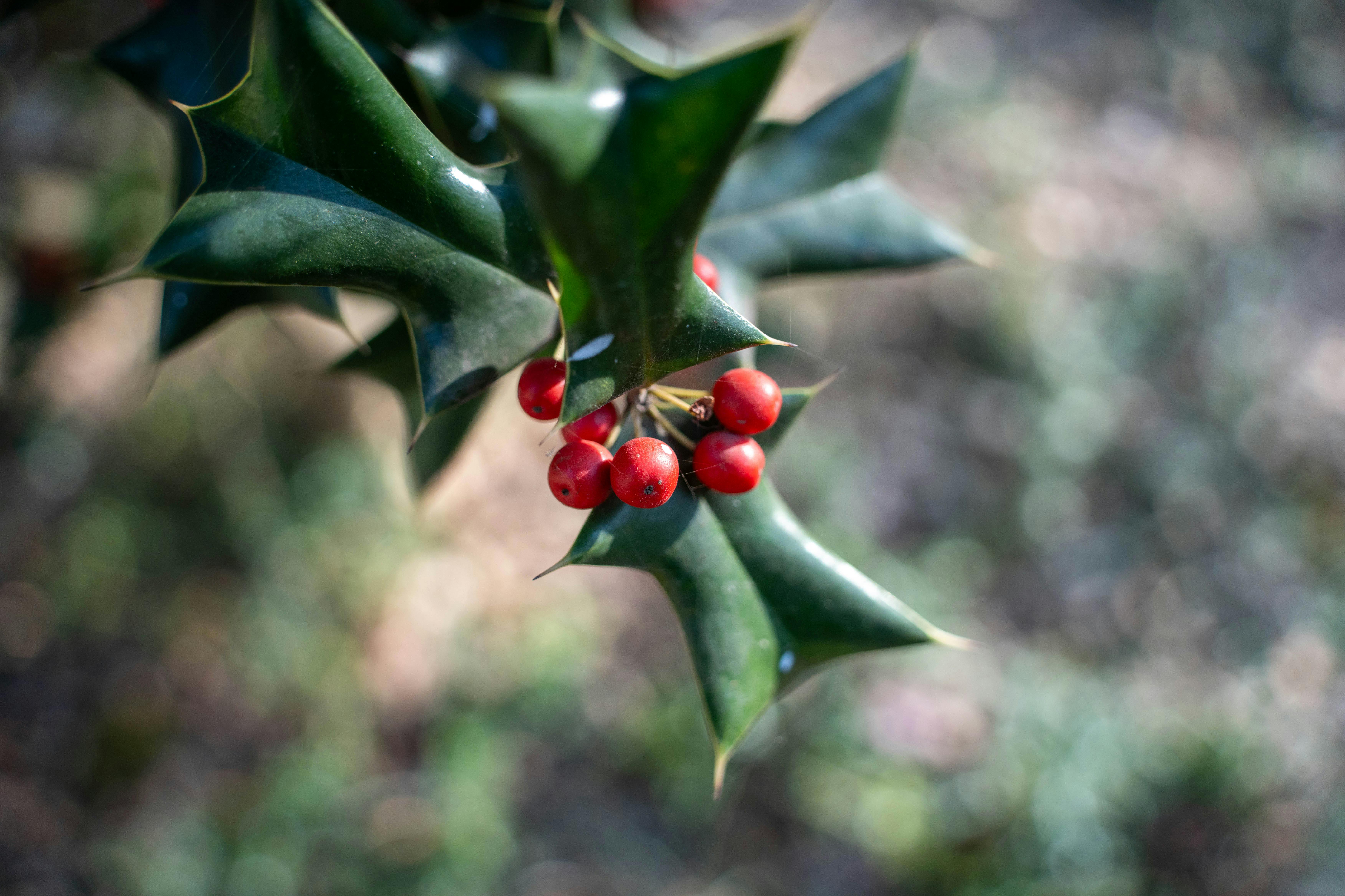 Retain A Sharp Memory